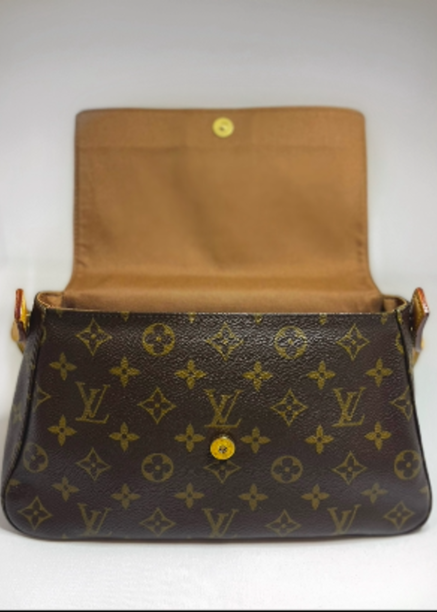 Louis Vuitton SOLD - Louis Vuitton Mini Loop
