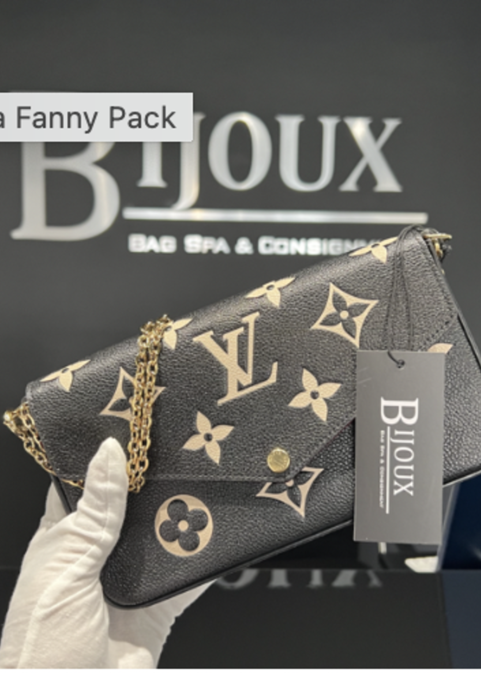 Louis Vuitton SOLD - Louis Vuitton Pochette Félicie (Noir/Beige)