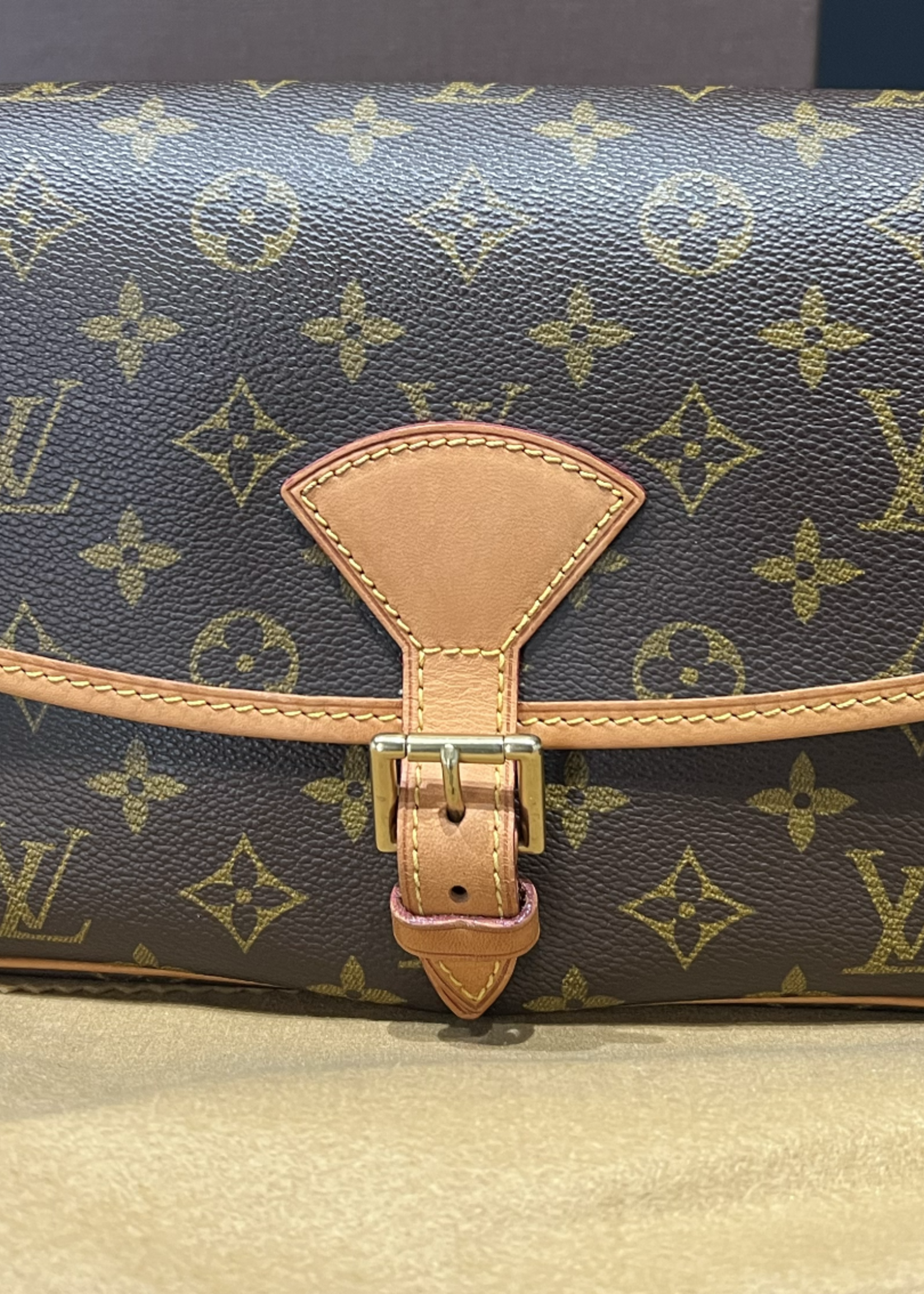 Louis Vuitton SOLD - Louis Vuitton Sologne