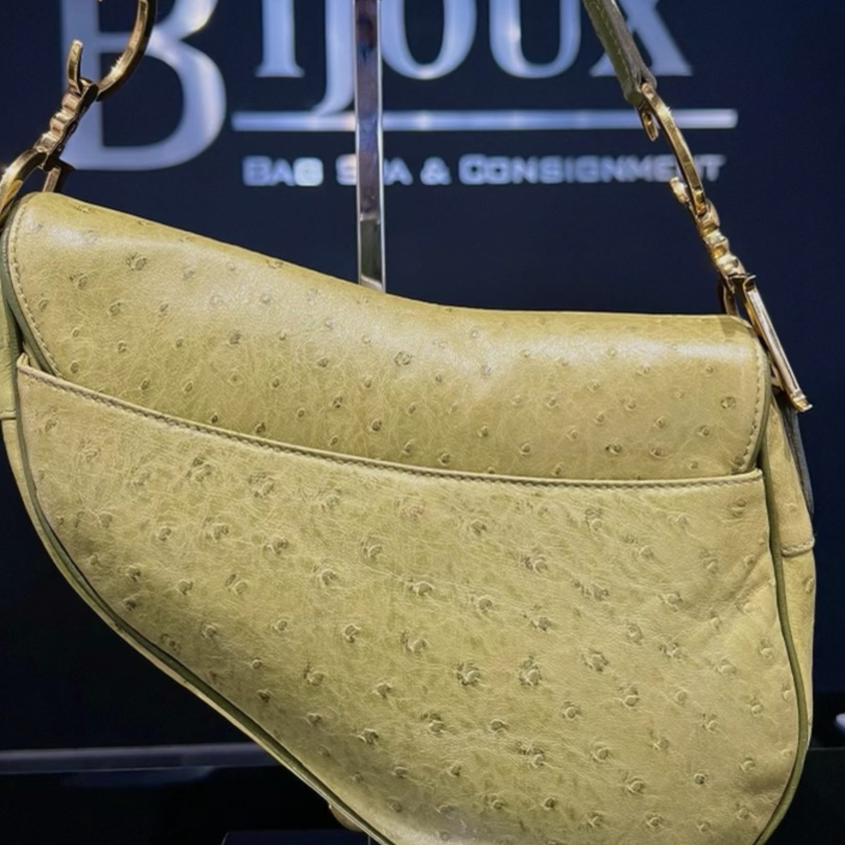 Dior ostrich saddle bag hotsell