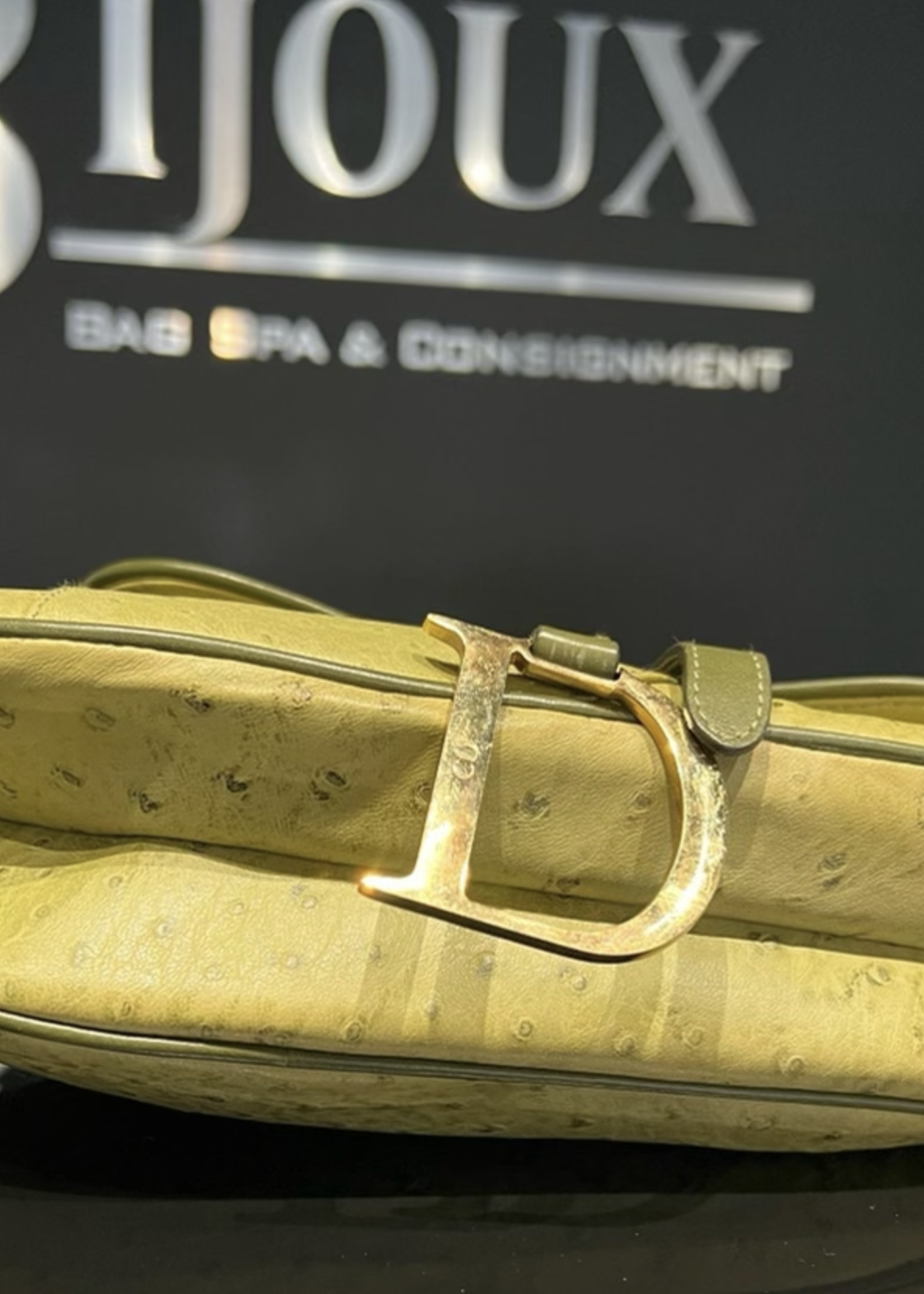 Christian Dior SOLD - Christian Dior Ostrich Saddle Bag- Green