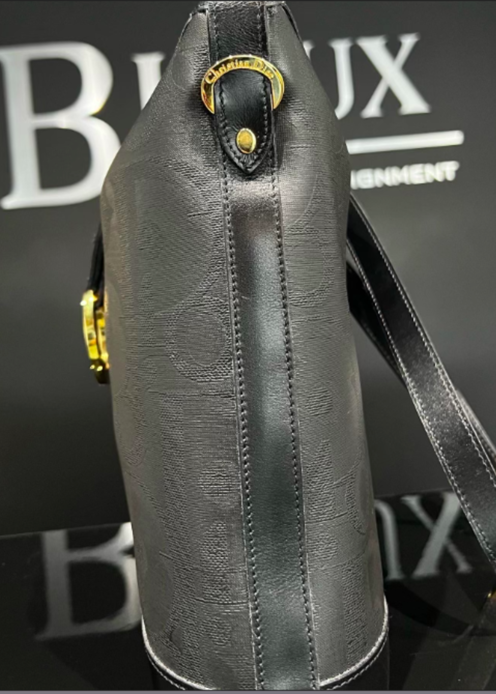 Christian Dior Christian Dior Oblique Oval Bag