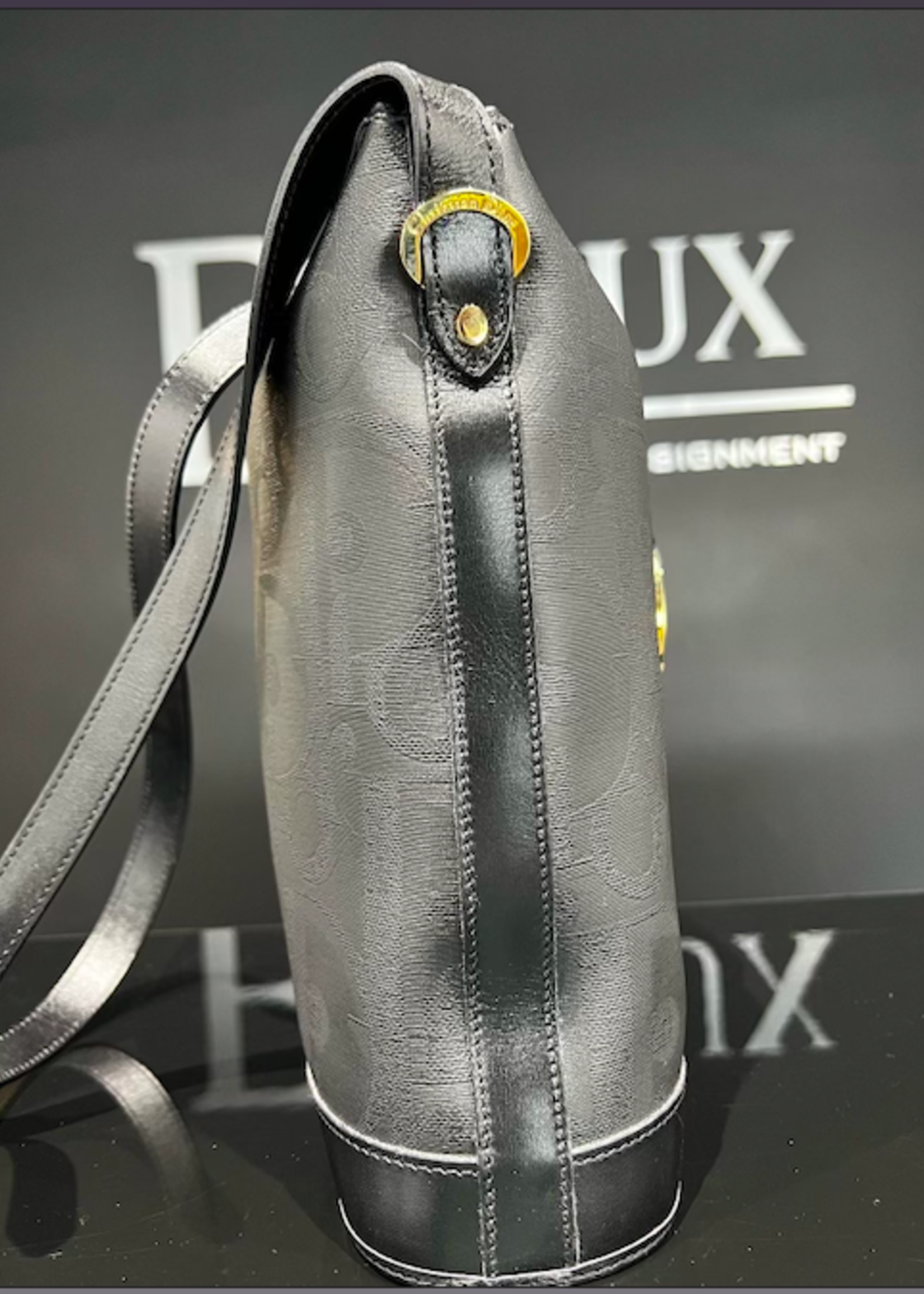 Christian Dior Christian Dior Oblique Oval Bag