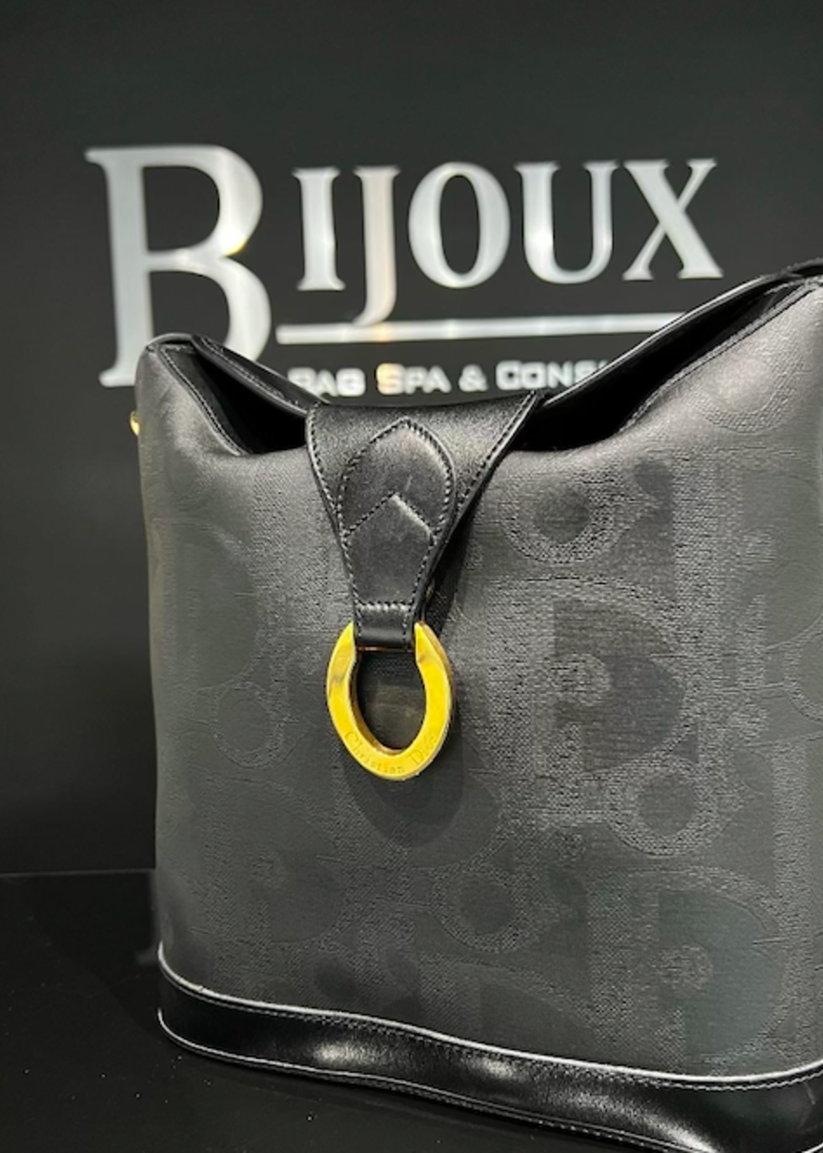 Christian Dior Christian Dior Oblique Oval Bag