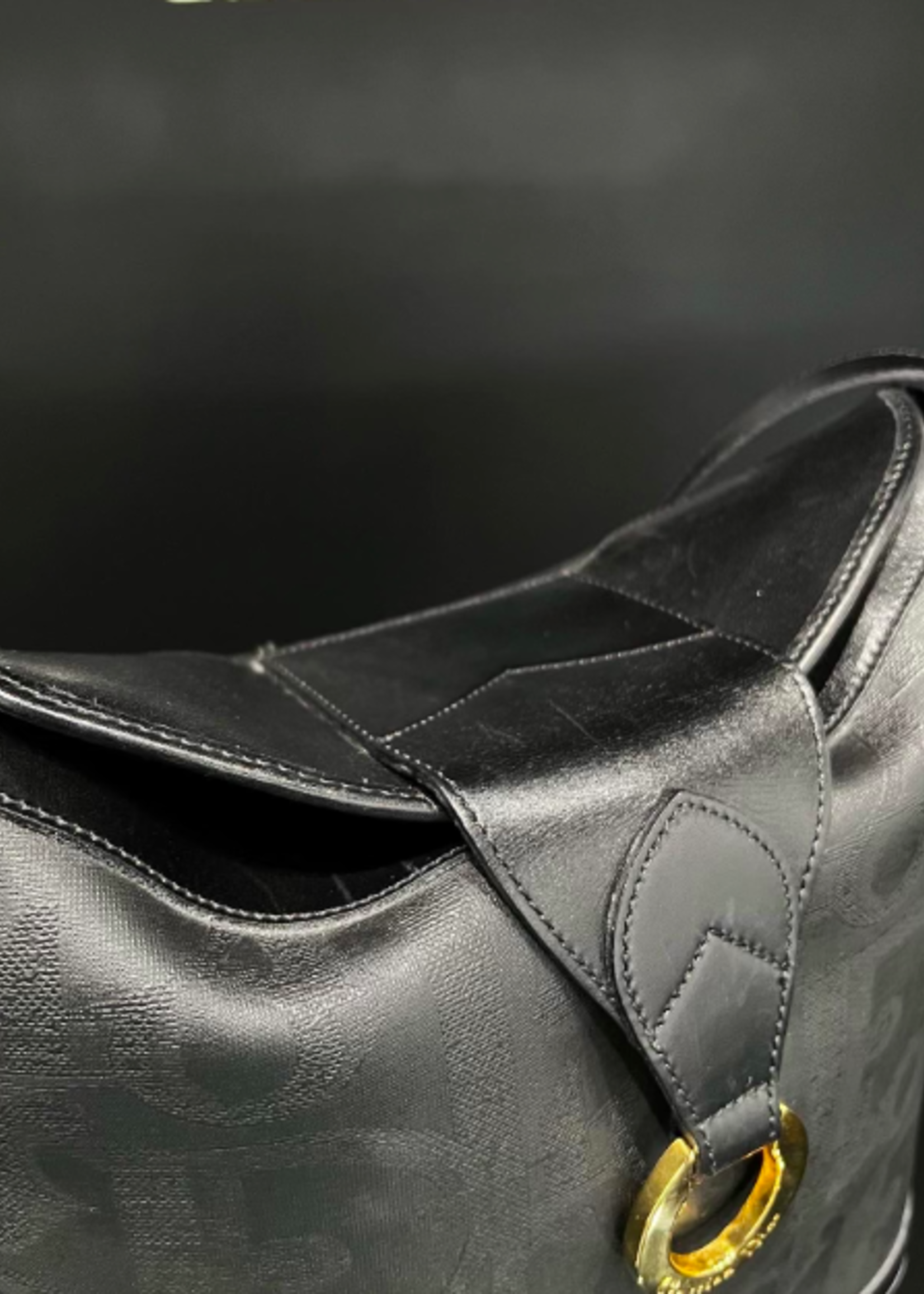 Christian Dior Christian Dior Oblique Oval Bag