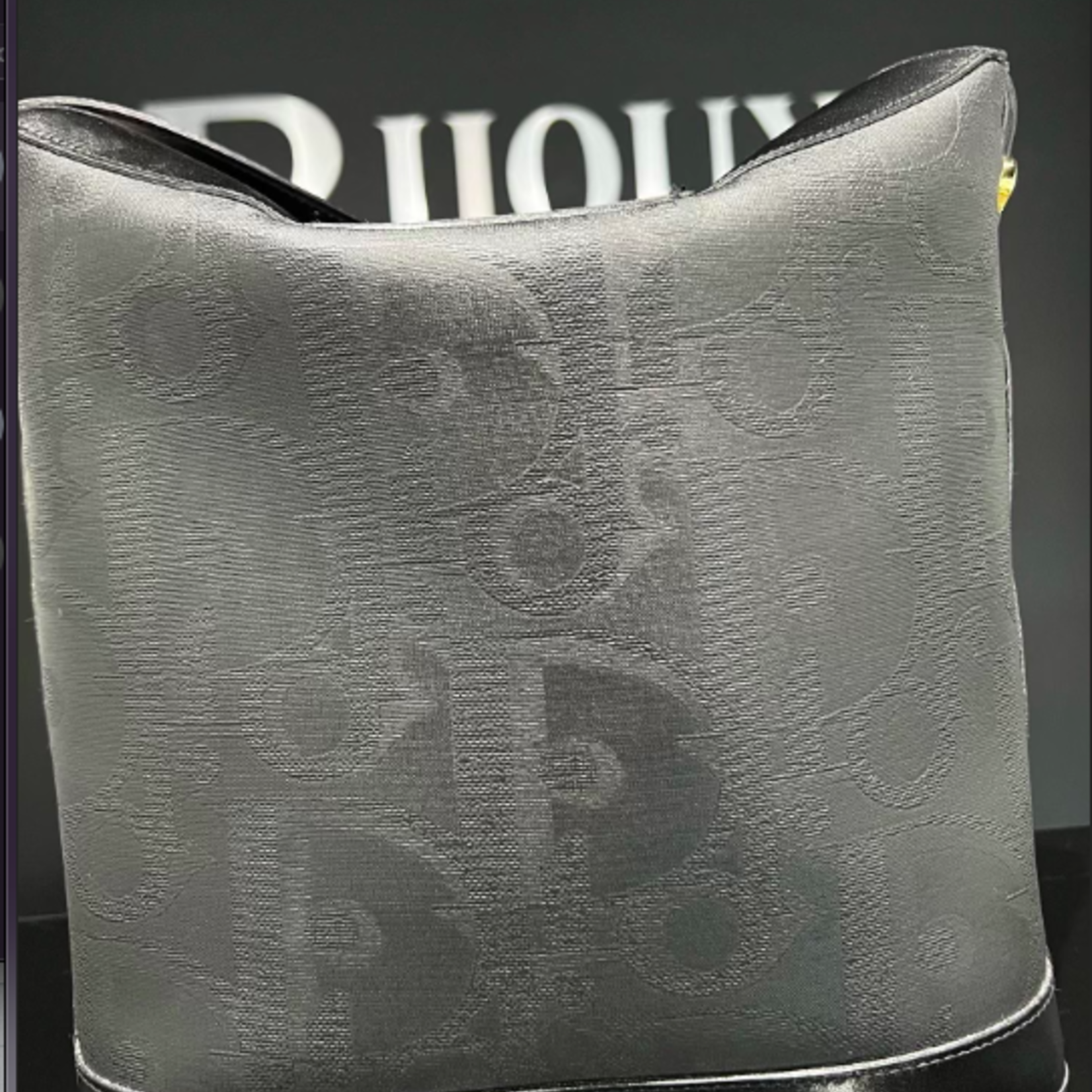 Christian Dior Christian Dior Oblique Oval Bag