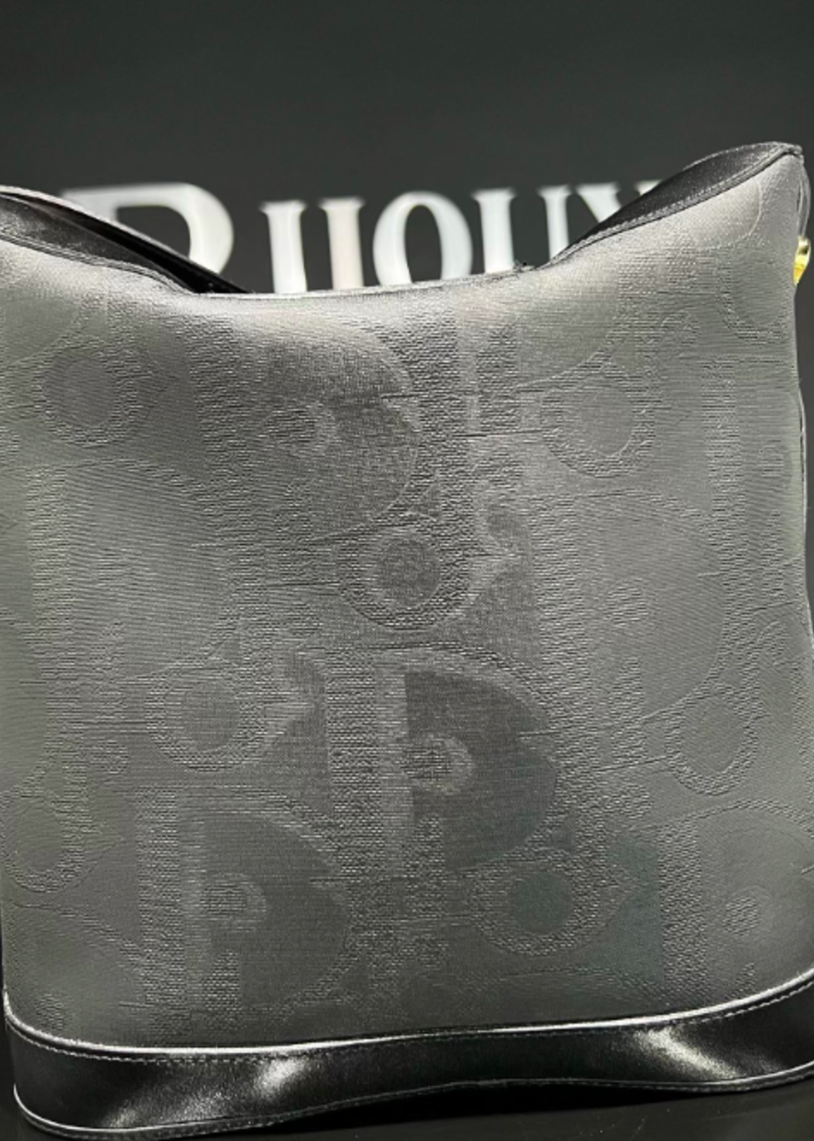 Christian Dior Christian Dior Oblique Oval Bag