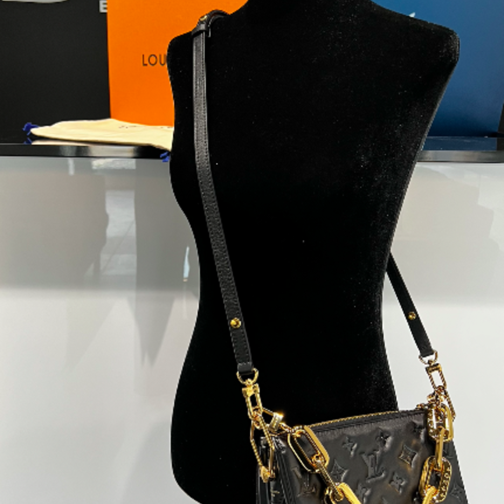 Handbags Louis Vuitton LV Coussin Bb New