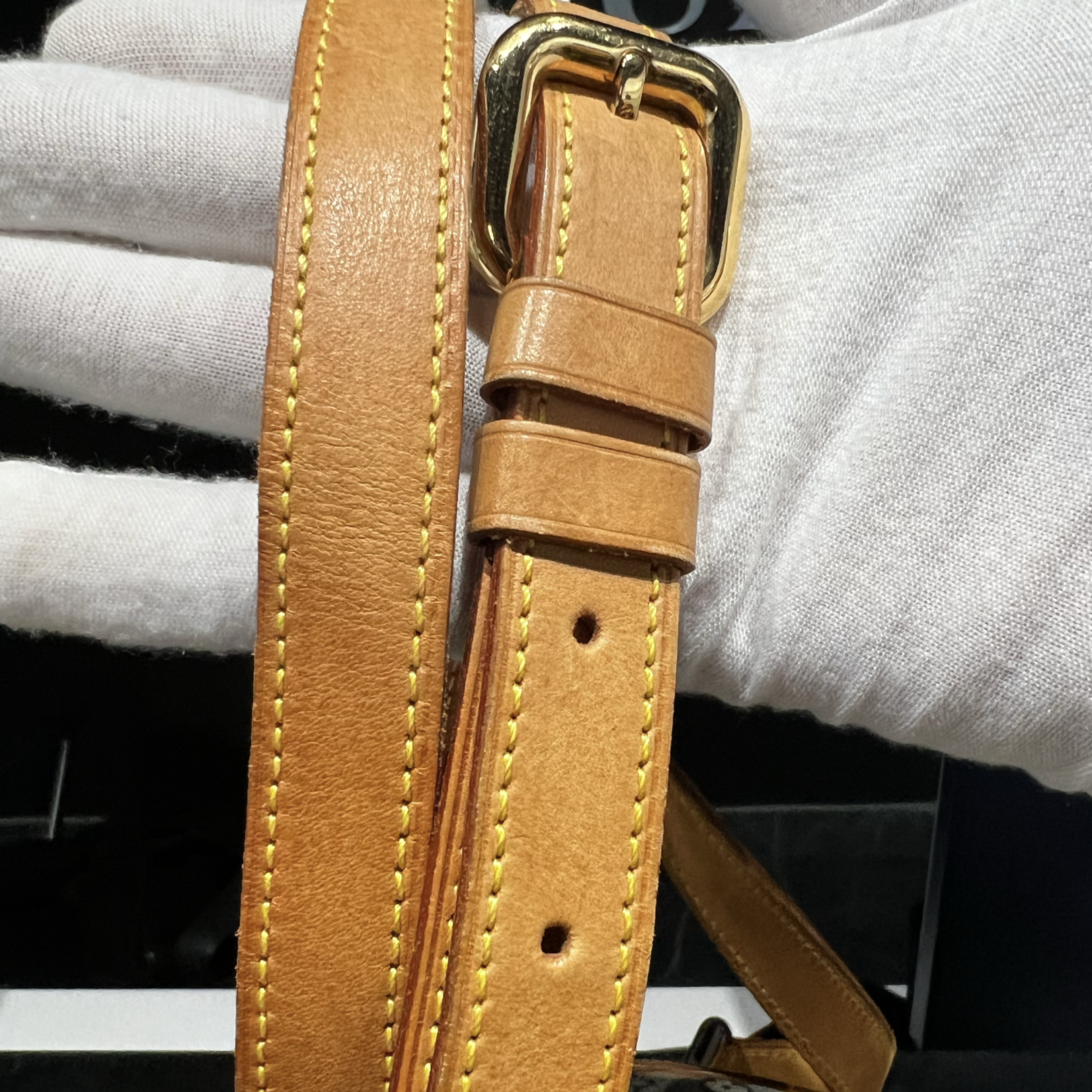 Louis Vuitton SOLD - Louis Vuitton Mini Lin GM