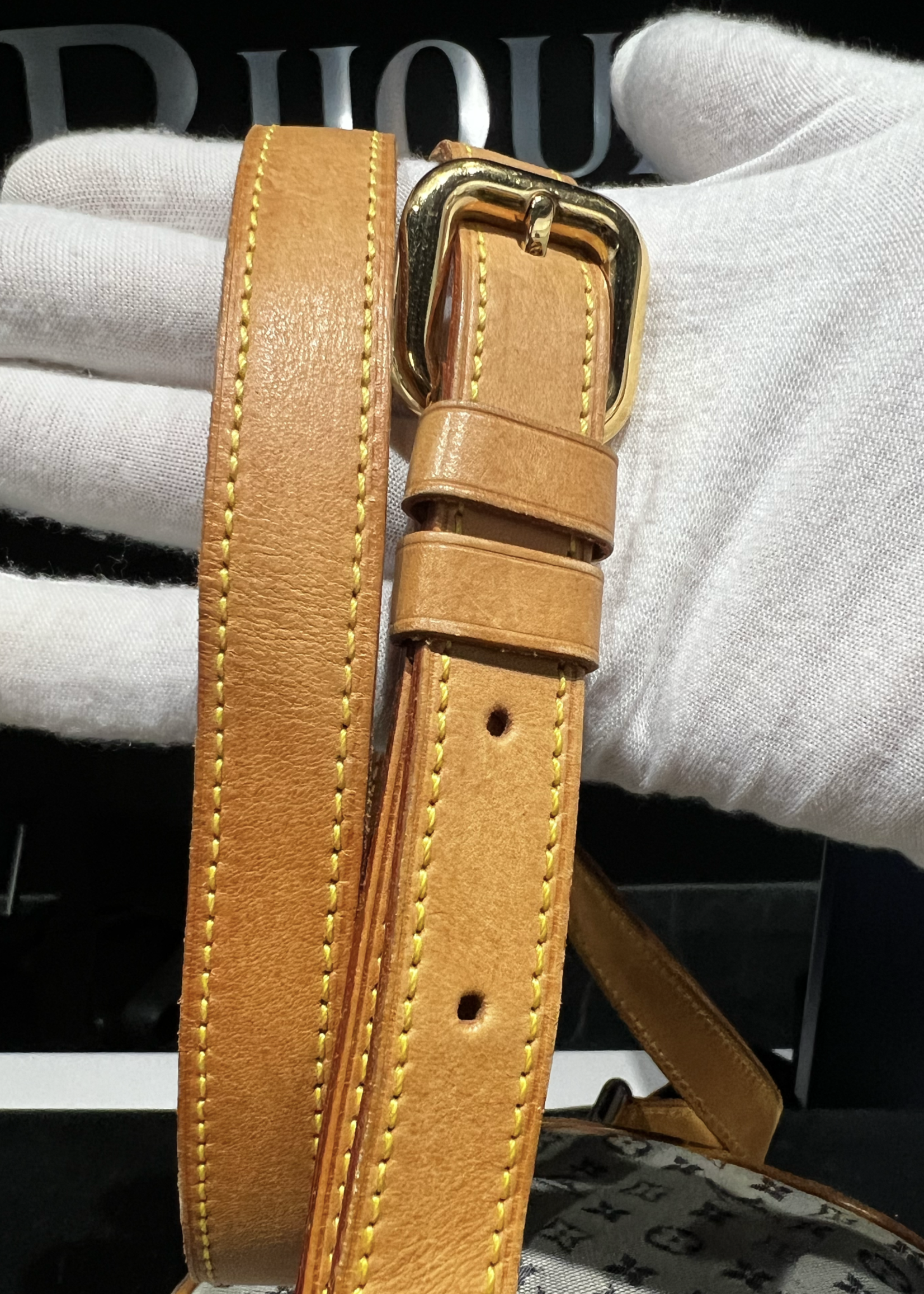 Louis Vuitton SOLD - Louis Vuitton Mini Lin GM