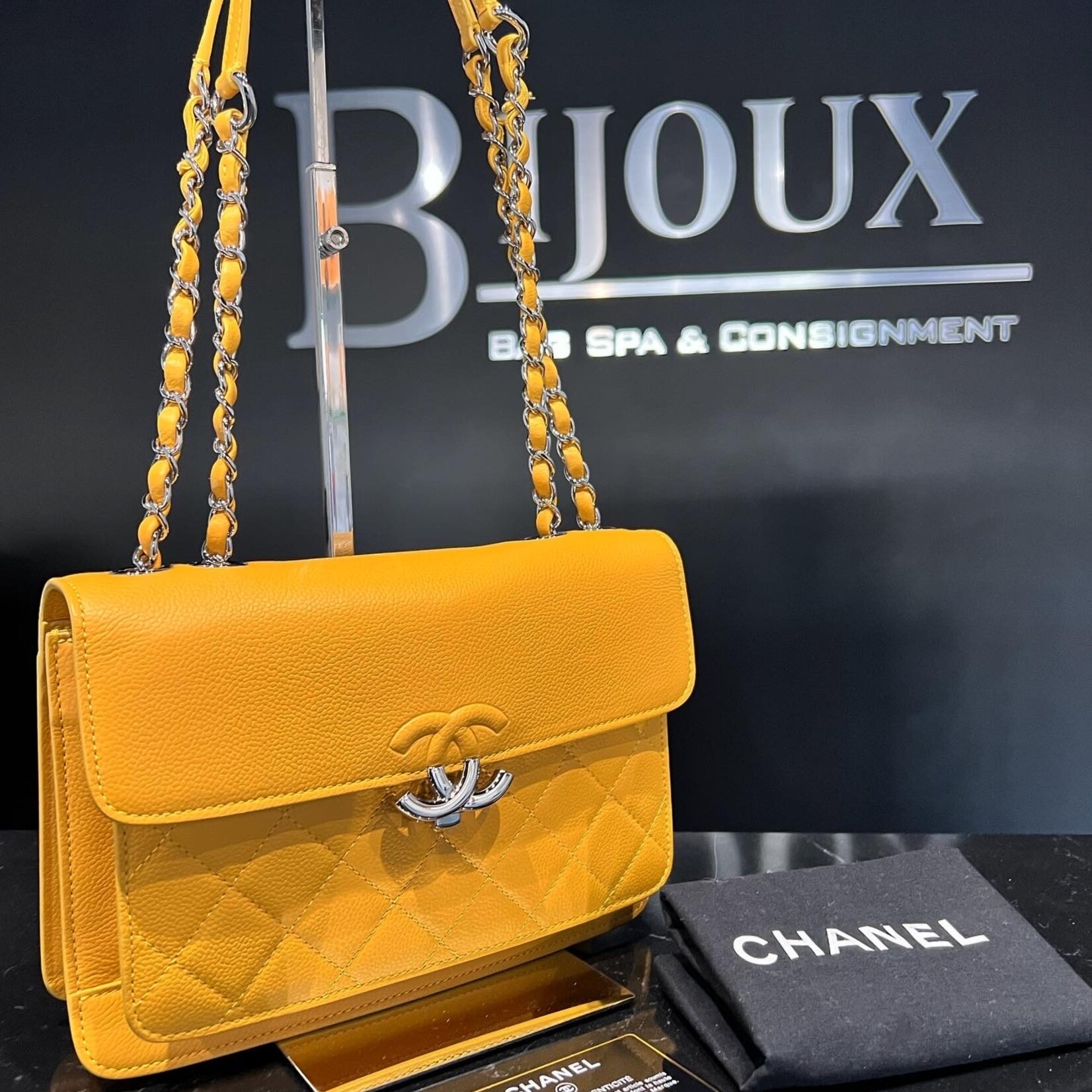 SOLD - Chanel Seasonal Flap Bag
