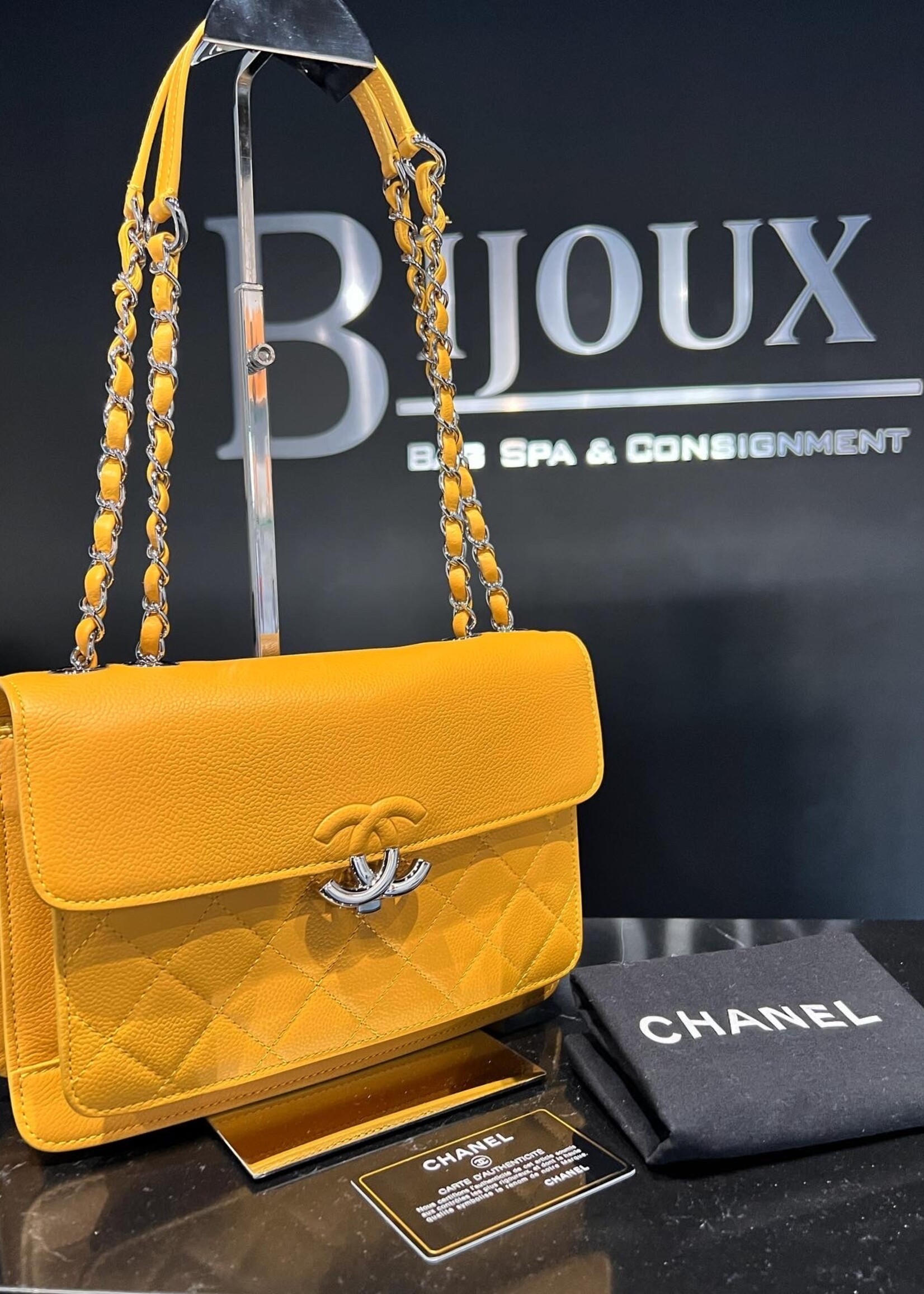 SOLD - Chanel Seasonal Flap Bag