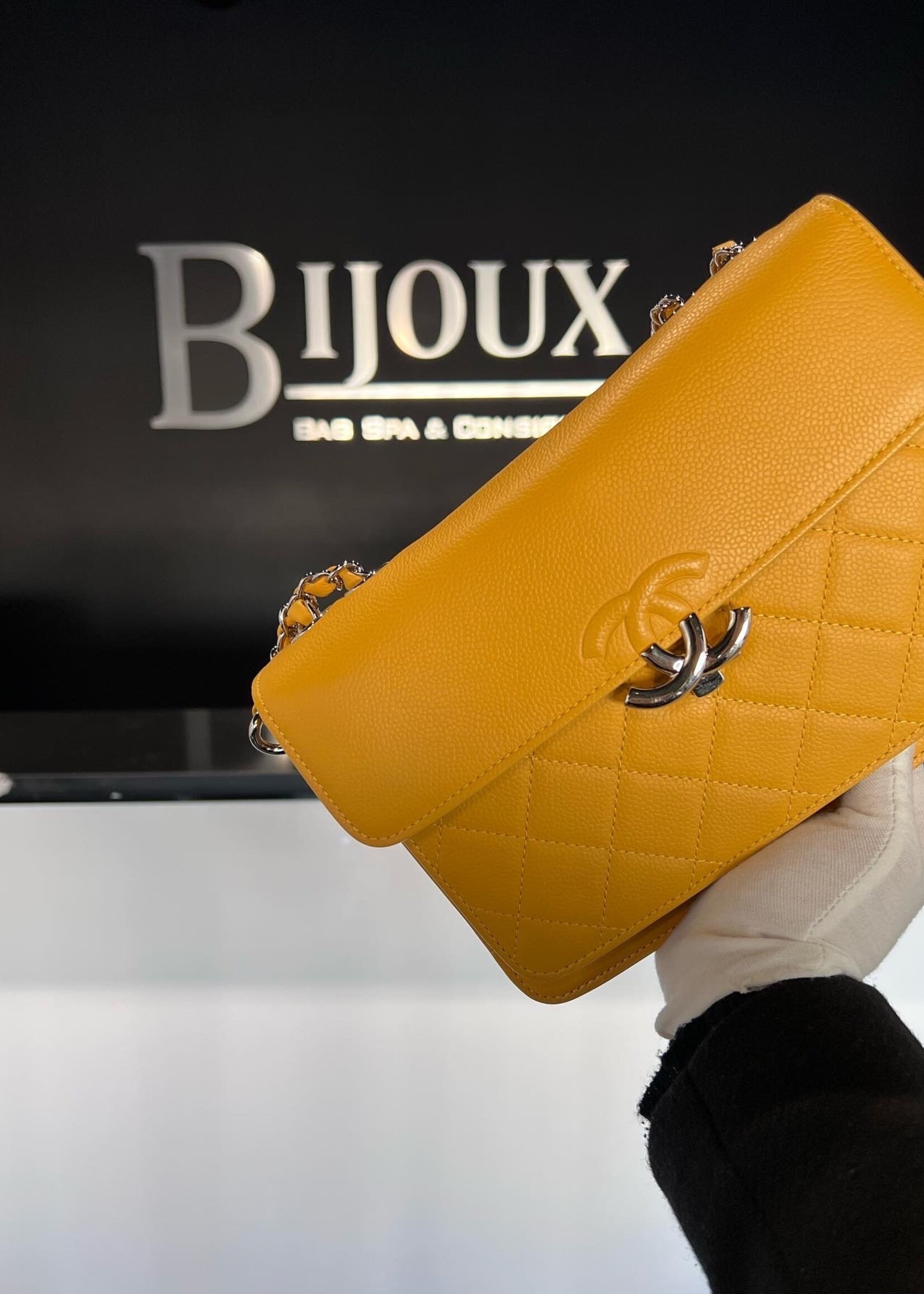 SOLD - Chanel Seasonal Flap Bag