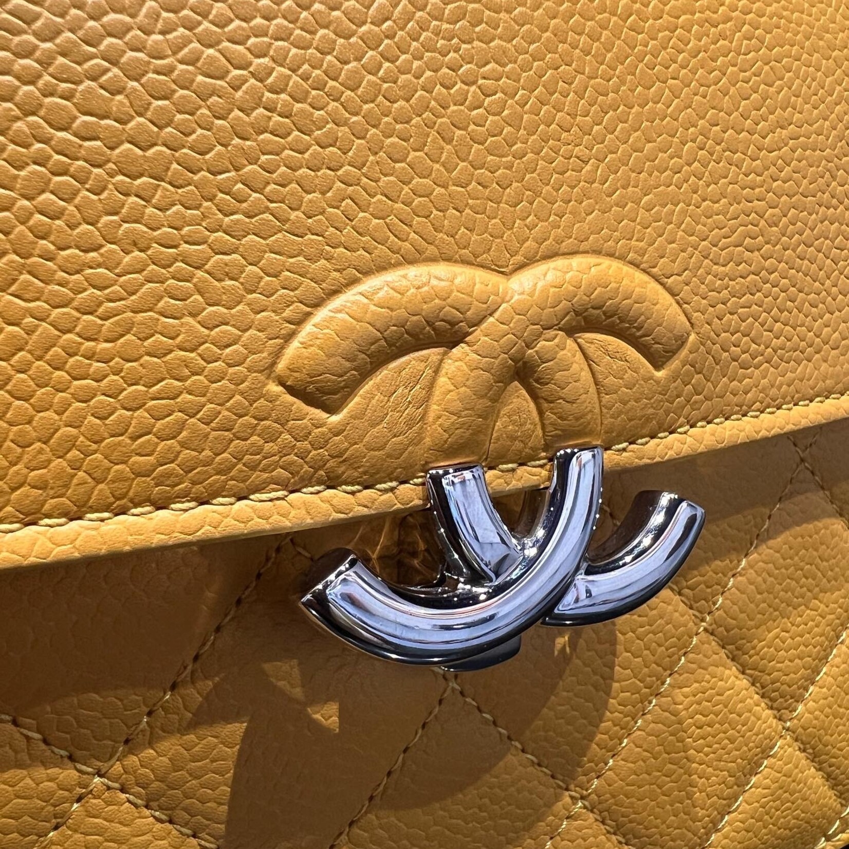SOLD - Chanel Seasonal Flap Bag