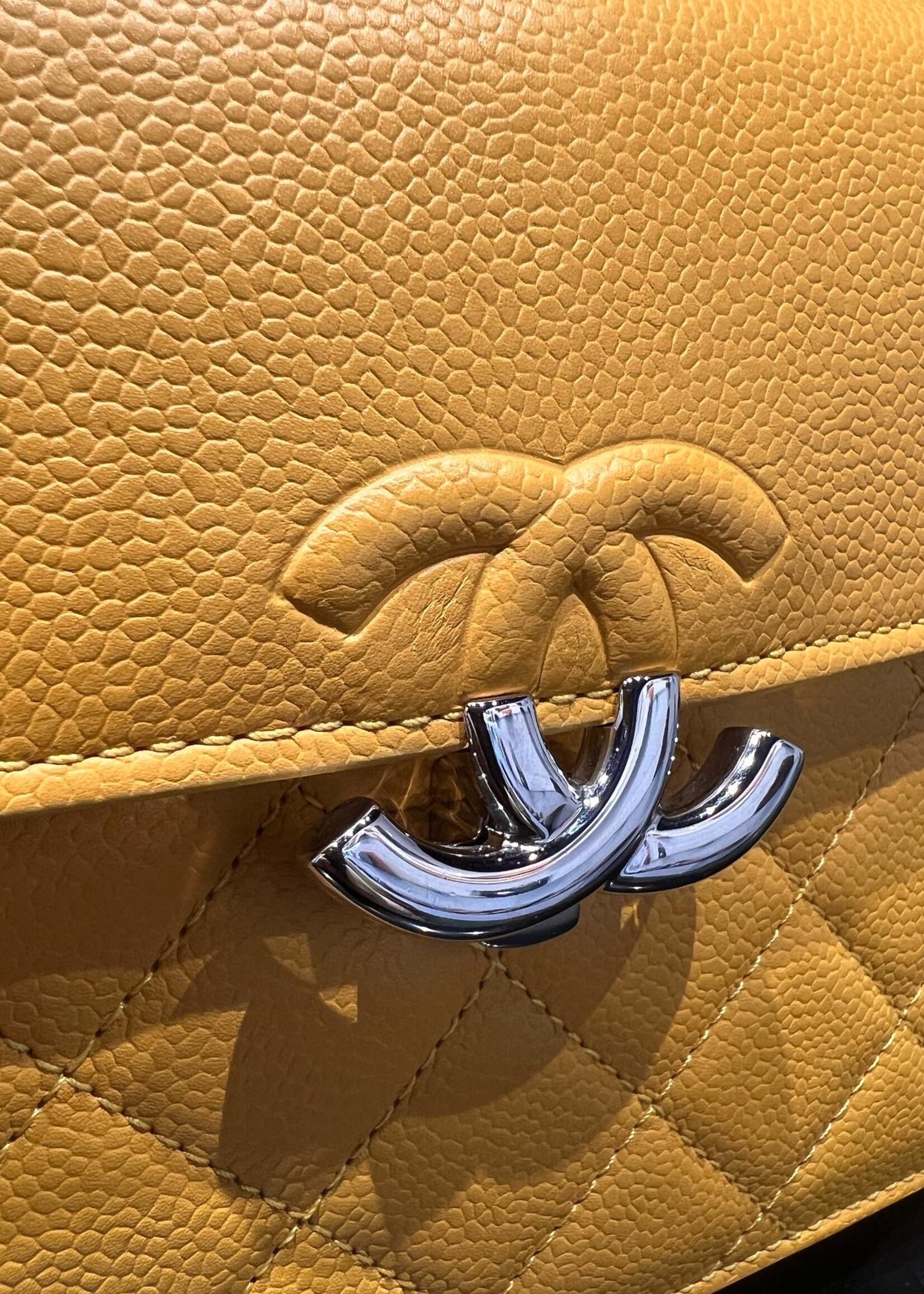 SOLD - Chanel Seasonal Flap Bag