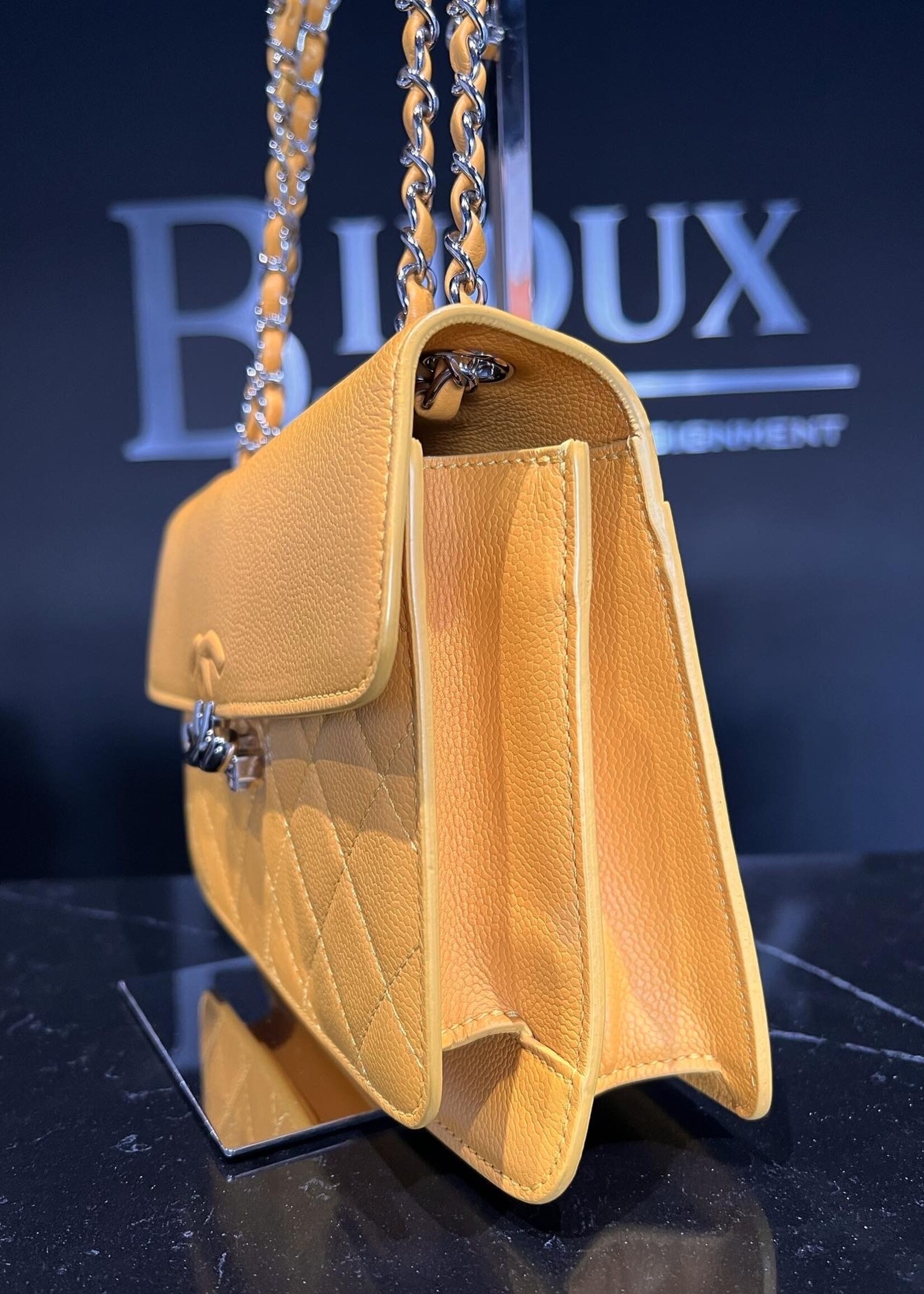 SOLD - Chanel Seasonal Flap Bag