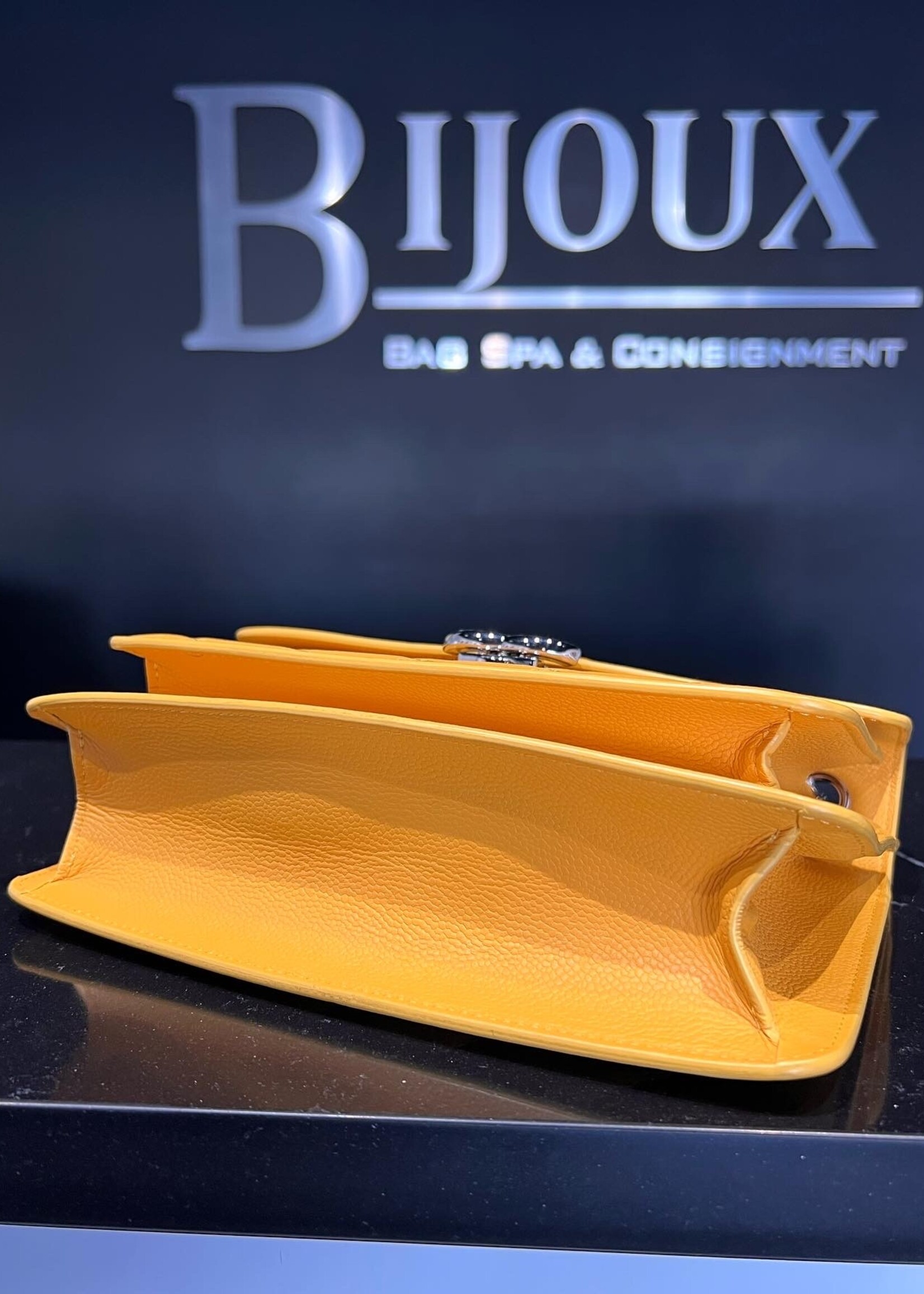 SOLD - Chanel Seasonal Flap Bag