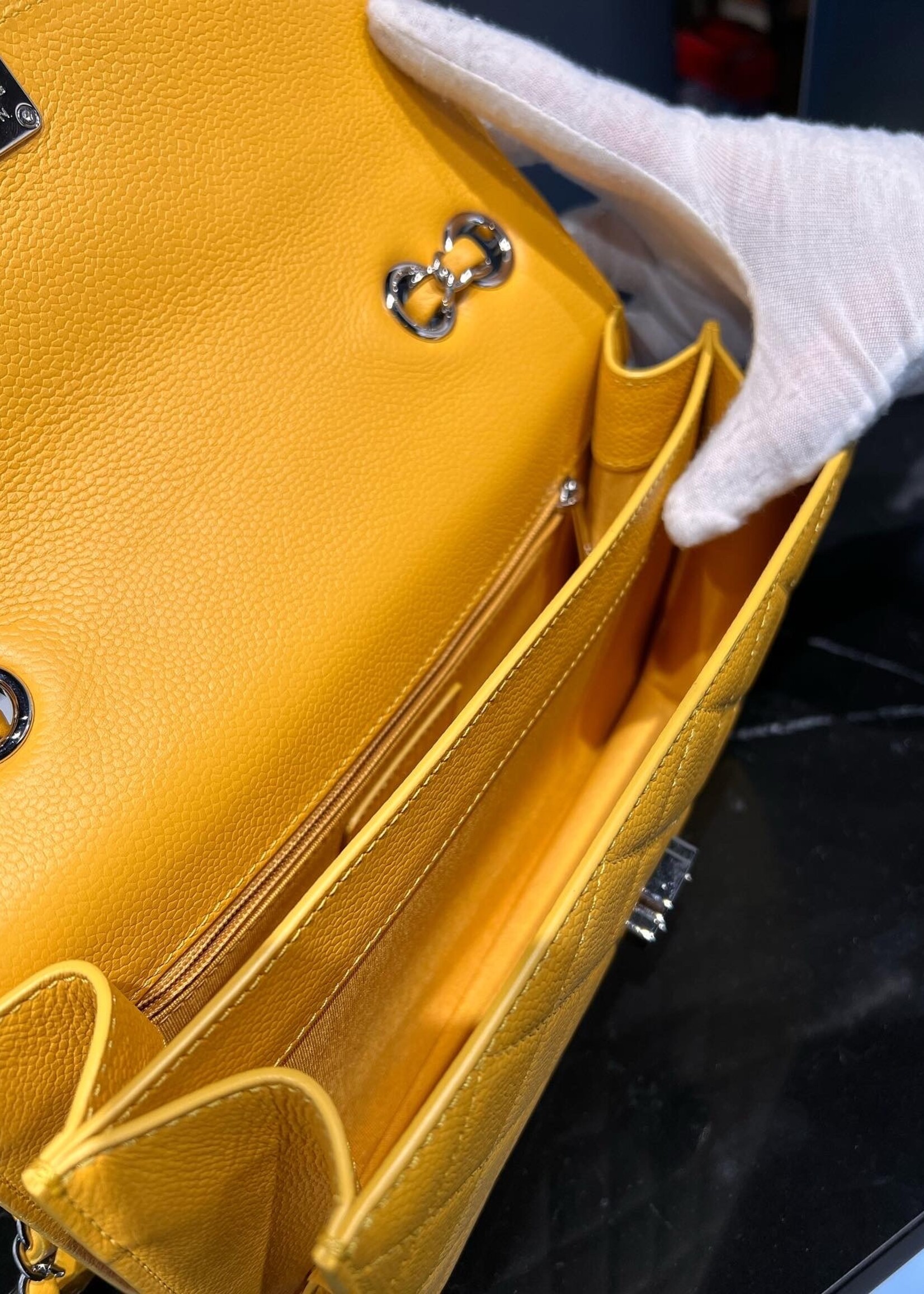 SOLD - Chanel Seasonal Flap Bag