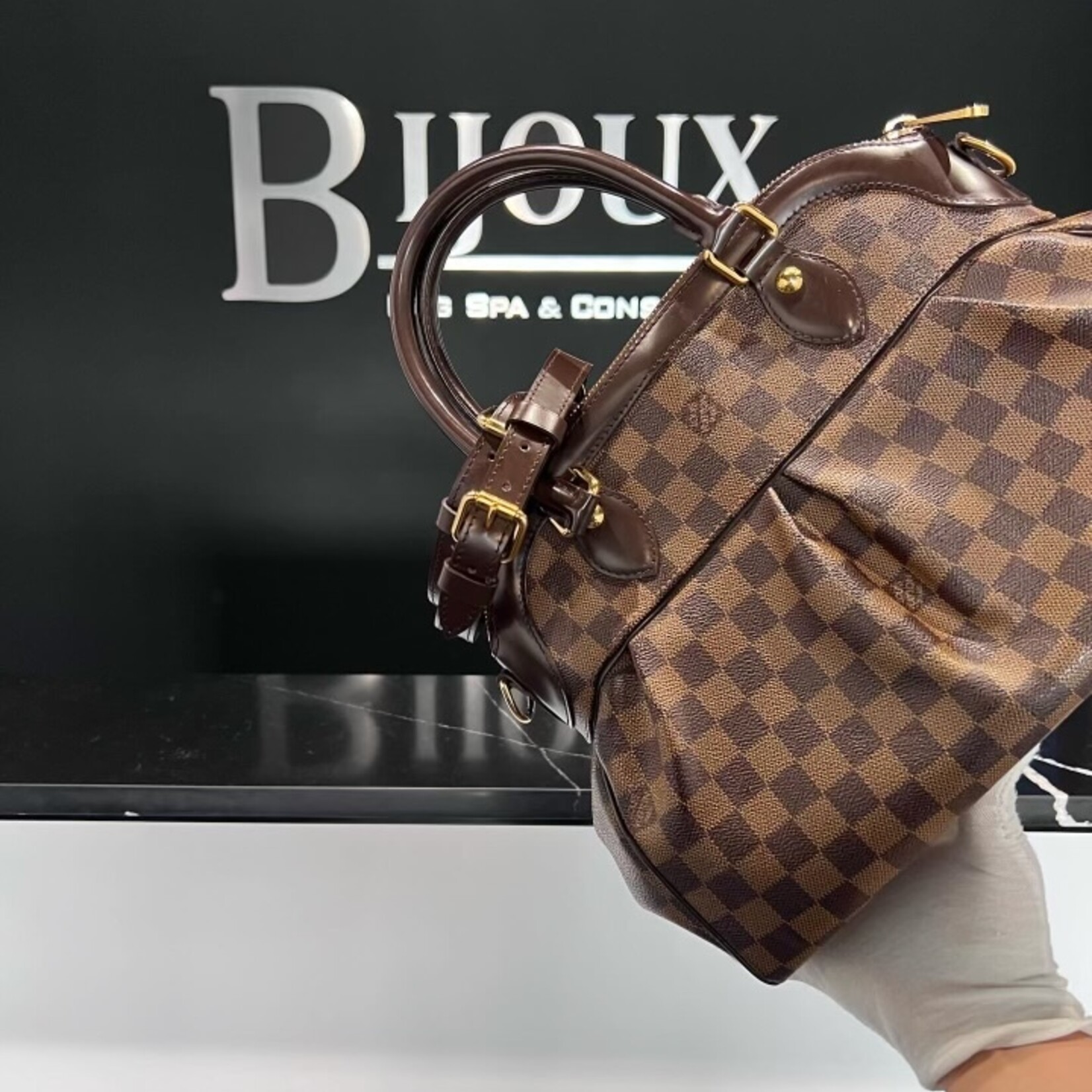 Louis Vuitton Trevi PM Damier Ebene Bijoux Bag Spa Consignment