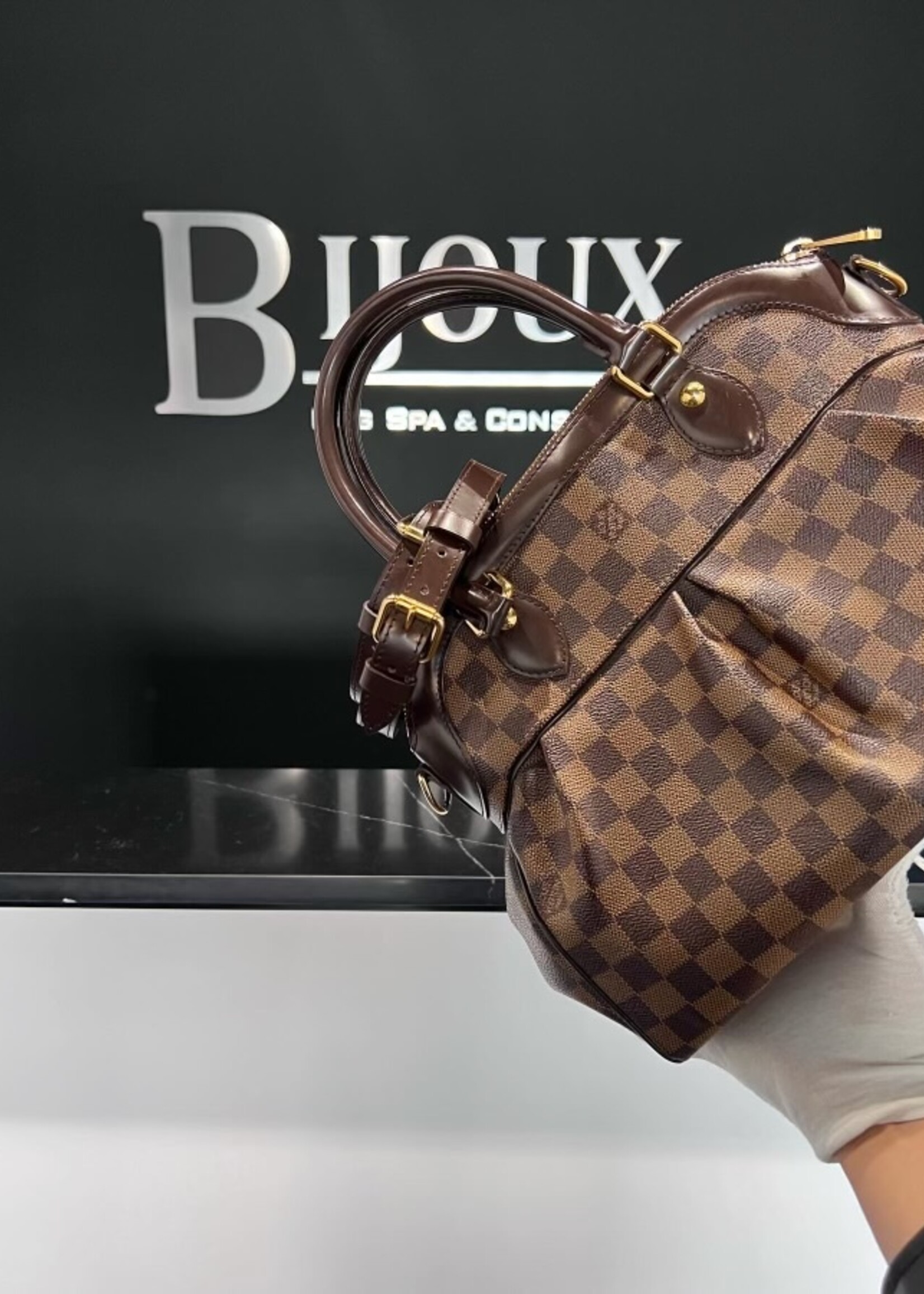 Louis Vuitton SOLD- Louis Vuitton Trevi PM Damier Ebene