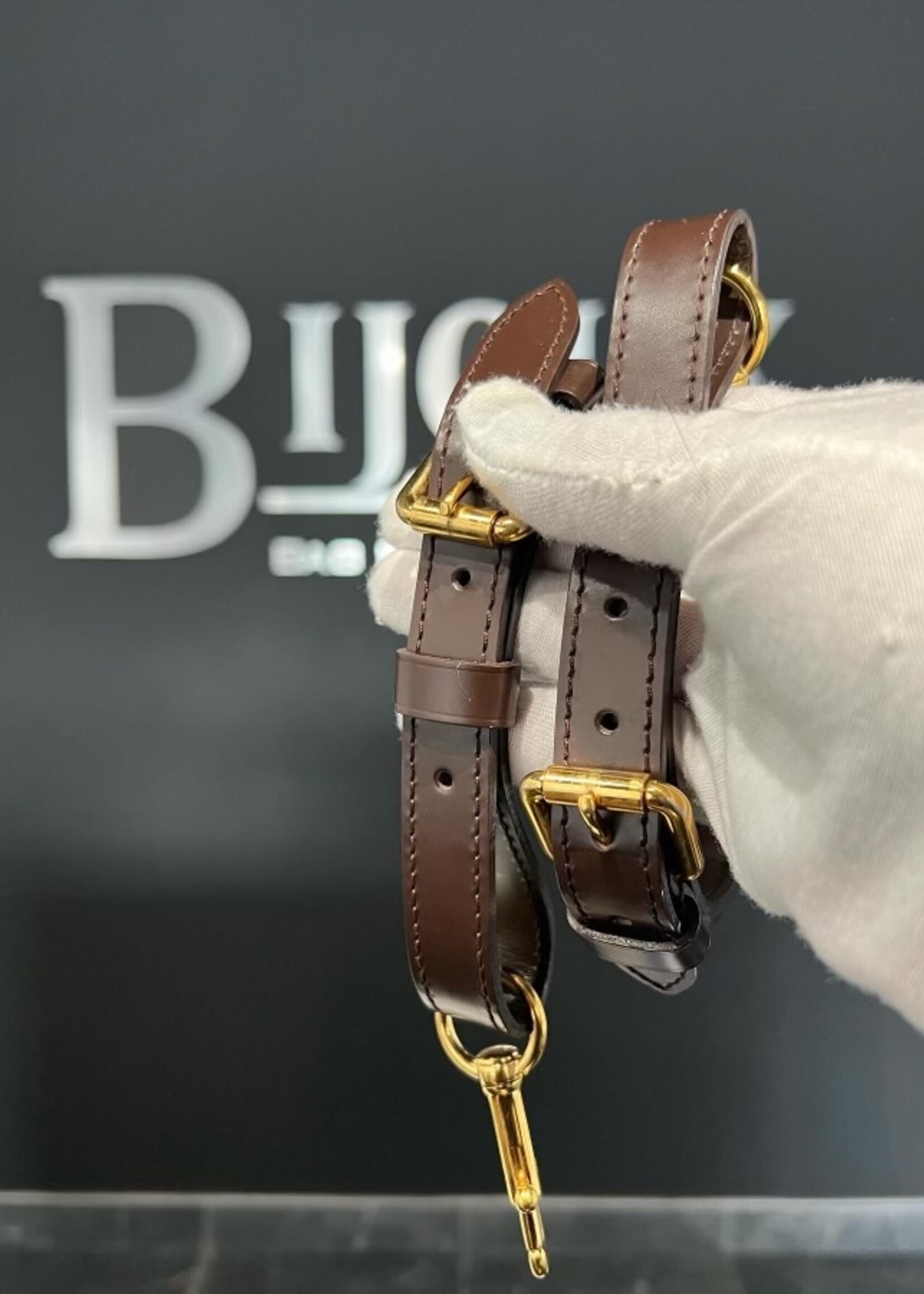 Louis Vuitton SOLD- Louis Vuitton Trevi PM Damier Ebene