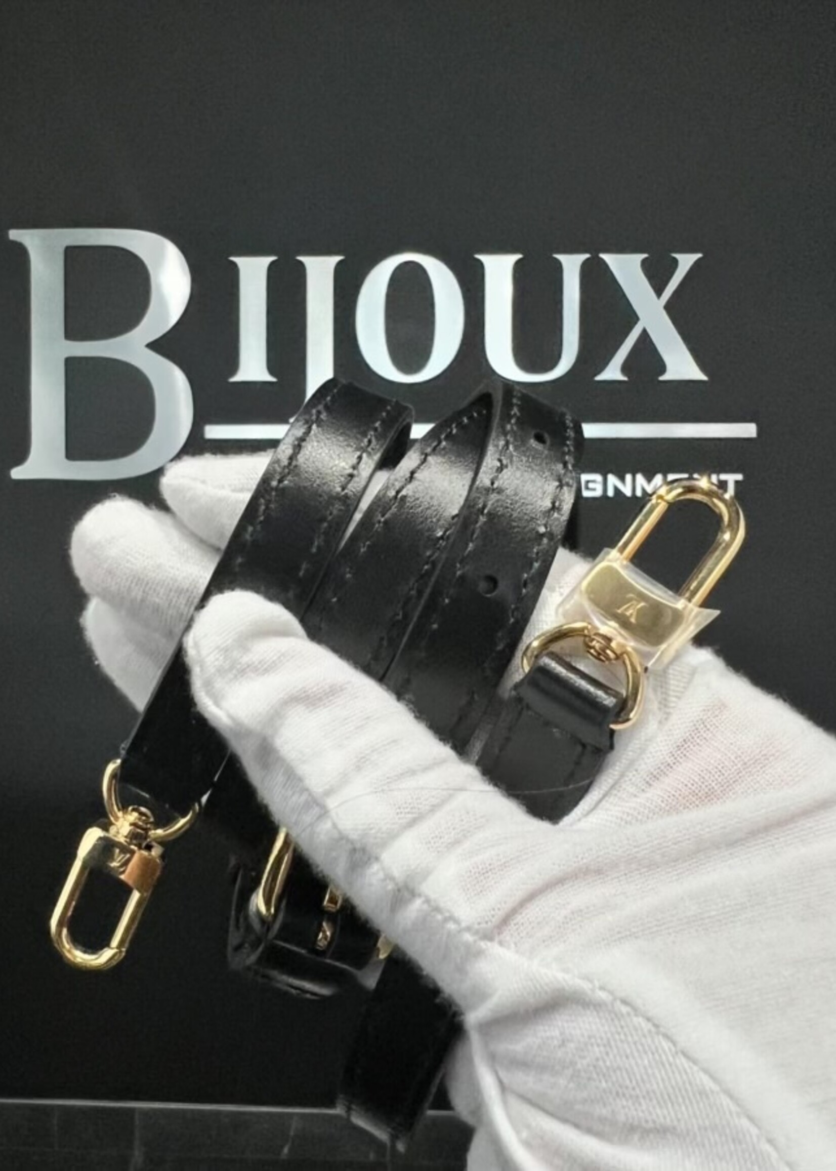 Louis Vuitton SOLD - Louis Vuitton Reverse Monogram Camera Box