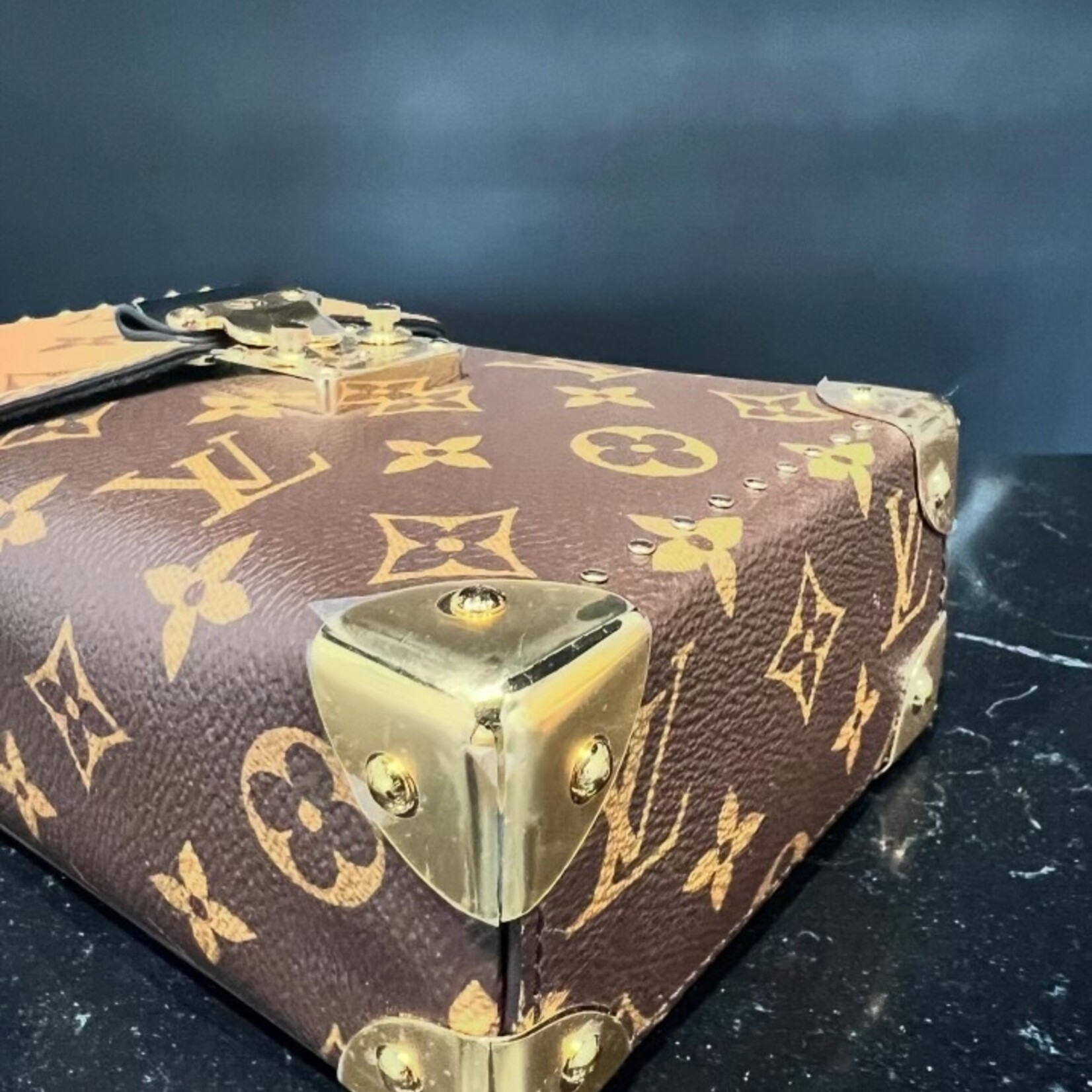 Louis Vuitton SOLD - Louis Vuitton Reverse Monogram Camera Box