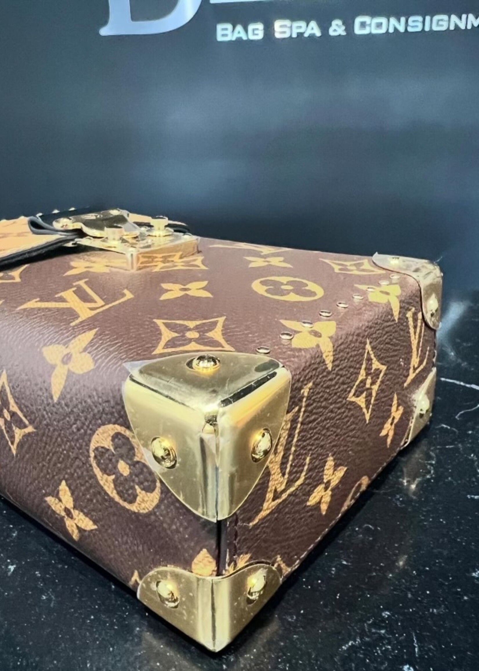 Louis Vuitton SOLD - Louis Vuitton Reverse Monogram Camera Box