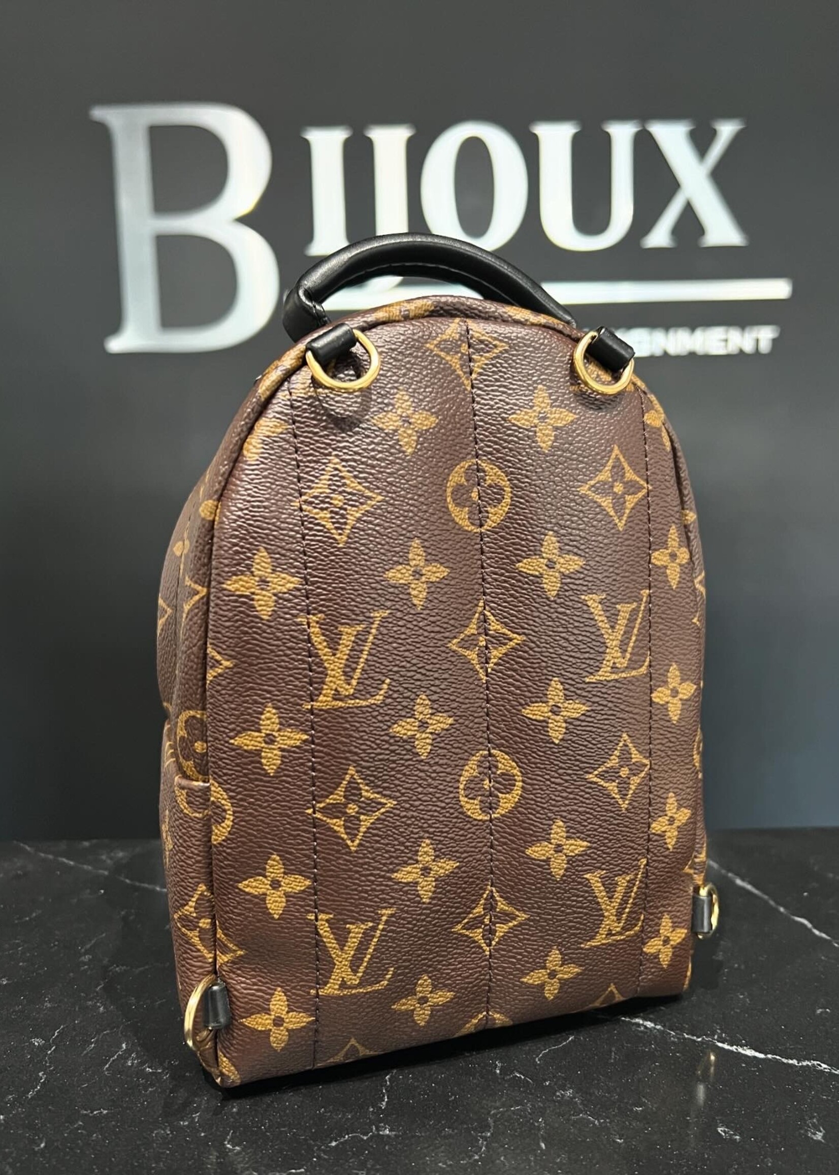 Louis Vuitton Louis Vuitton Mini Palm Springs