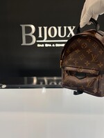 Louis Vuitton Louis Vuitton Mini Palm Springs