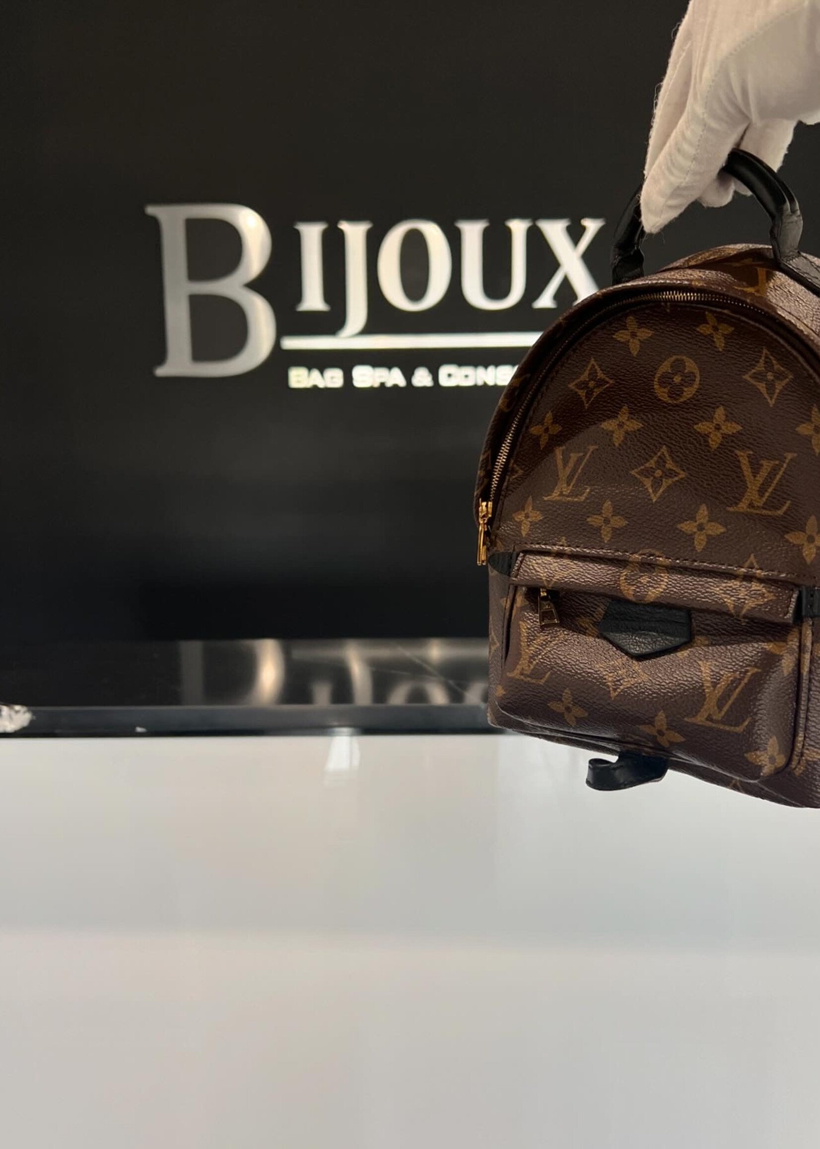 Louis Vuitton Louis Vuitton Mini Palm Springs