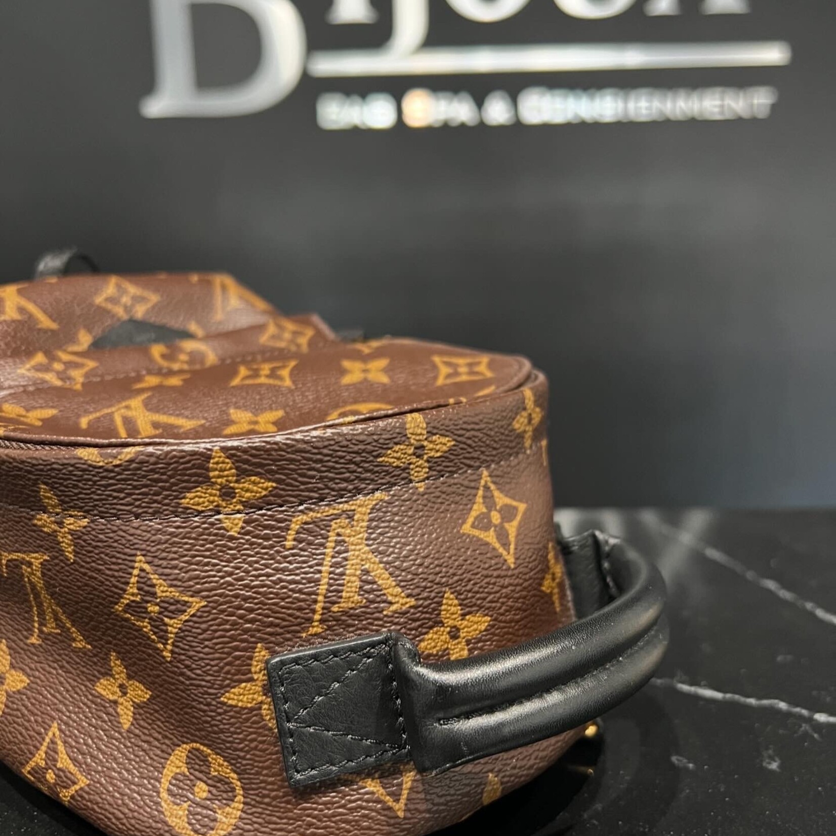 Louis Vuitton Louis Vuitton Mini Palm Springs
