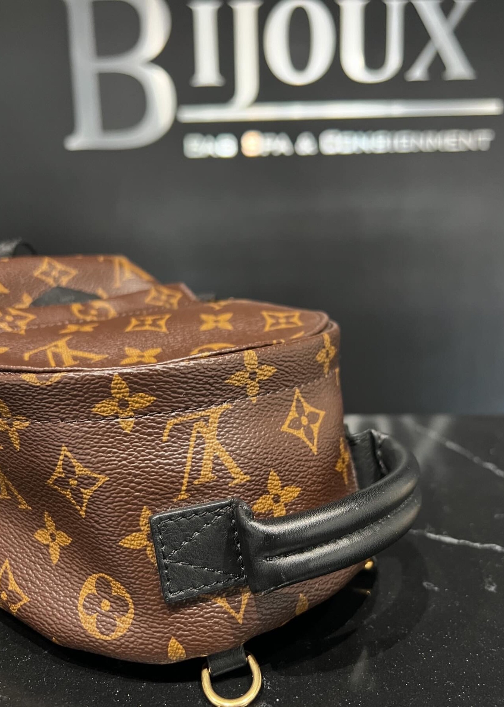 Louis Vuitton Louis Vuitton Mini Palm Springs