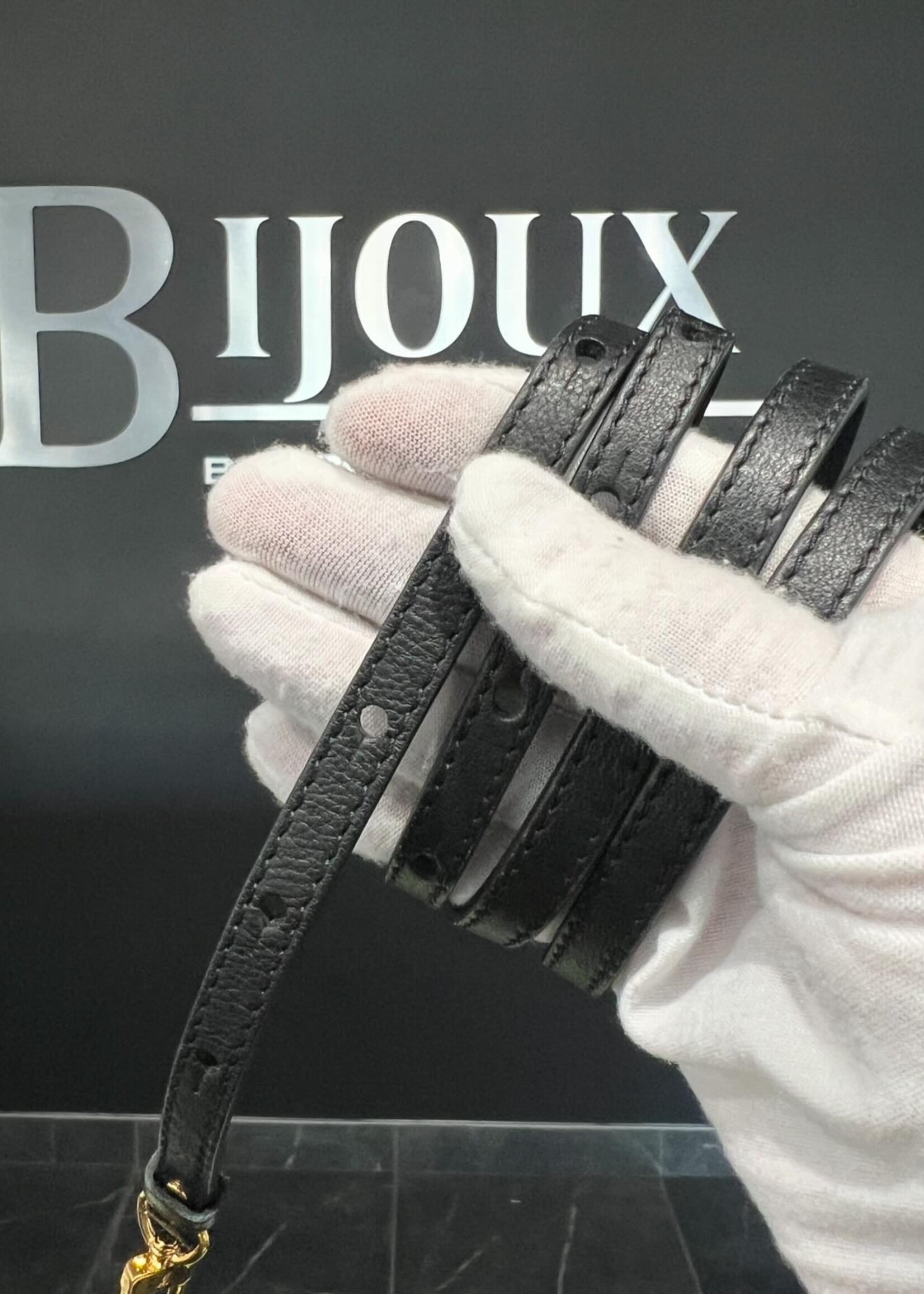 Louis Vuitton Louis Vuitton Mini Palm Springs