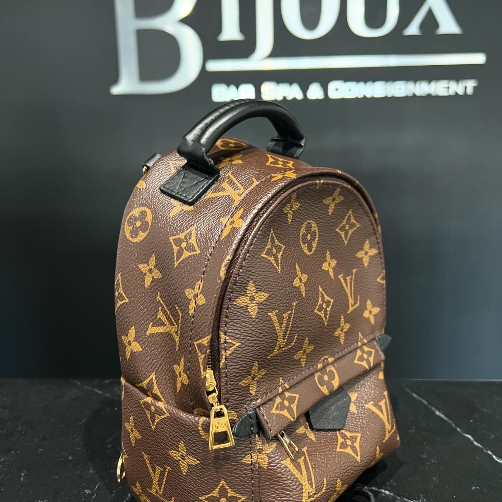 Louis Vuitton Louis Vuitton Mini Palm Springs