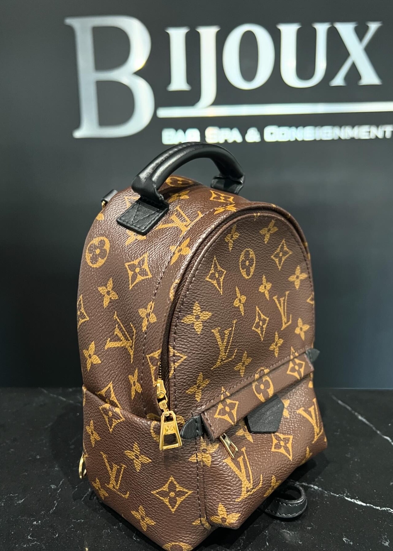 Louis Vuitton Louis Vuitton Mini Palm Springs