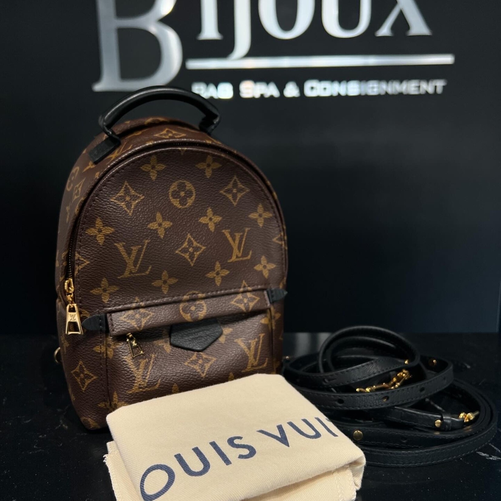 Louis Vuitton Louis Vuitton Mini Palm Springs