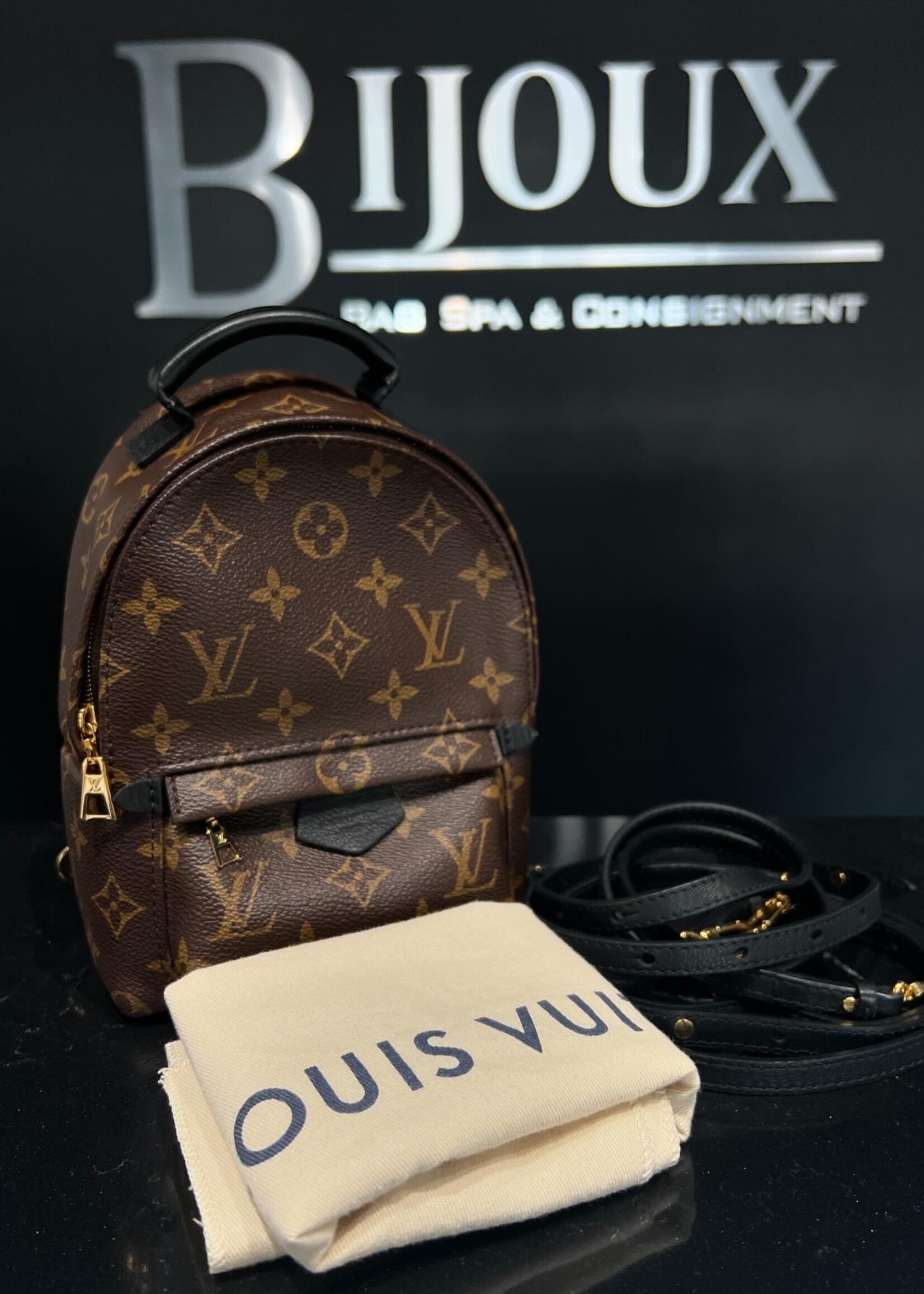 Louis Vuitton Louis Vuitton Mini Palm Springs