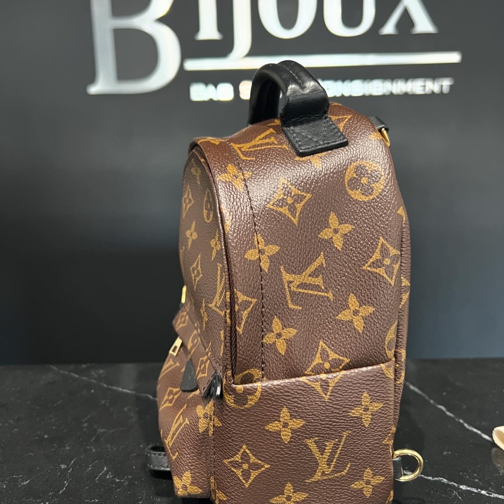 Louis Vuitton Louis Vuitton Mini Palm Springs