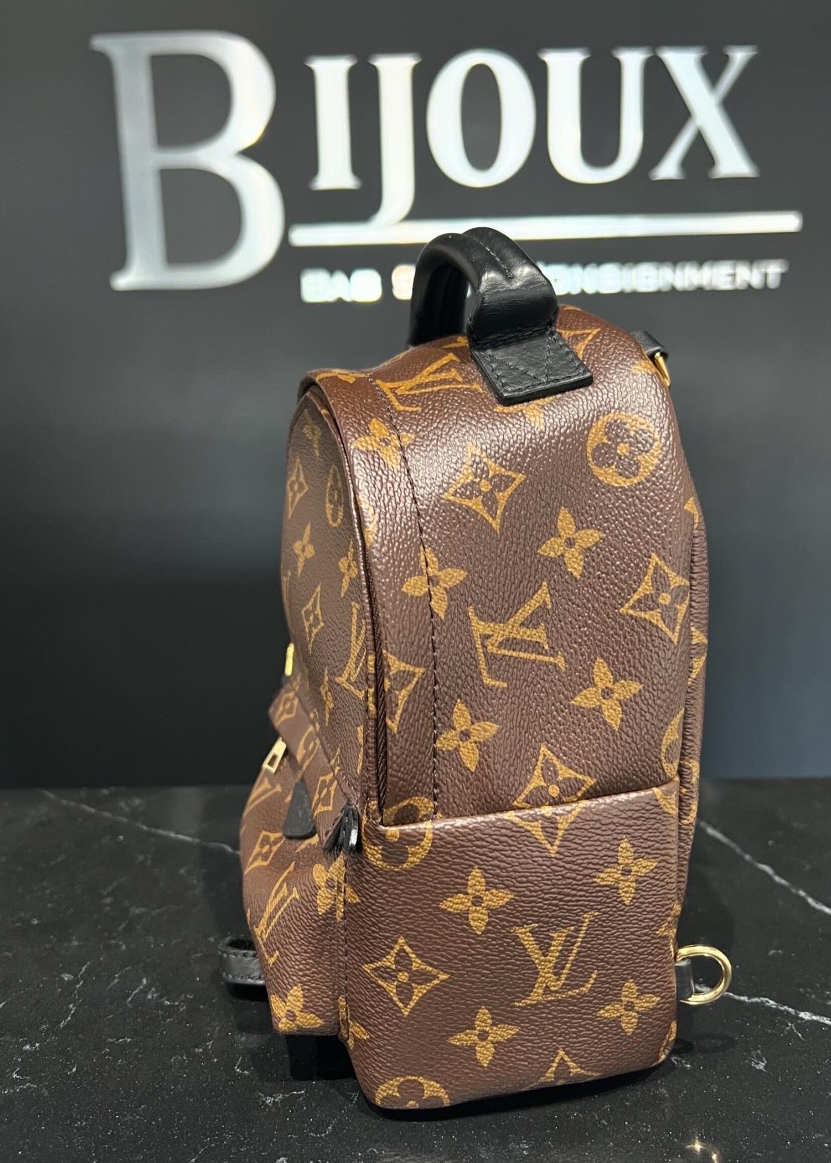 Louis Vuitton Louis Vuitton Mini Palm Springs