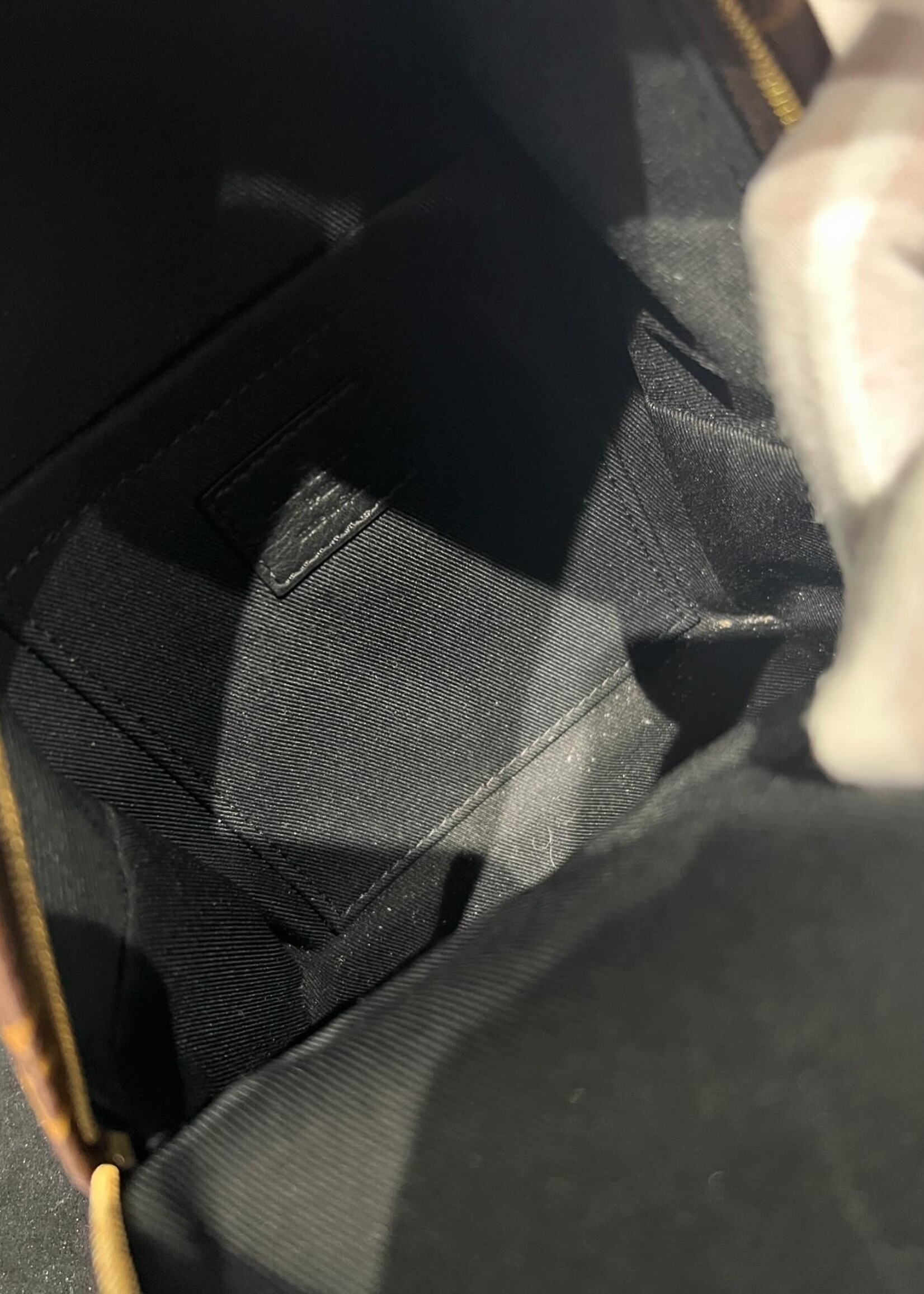 Louis Vuitton Louis Vuitton Mini Palm Springs