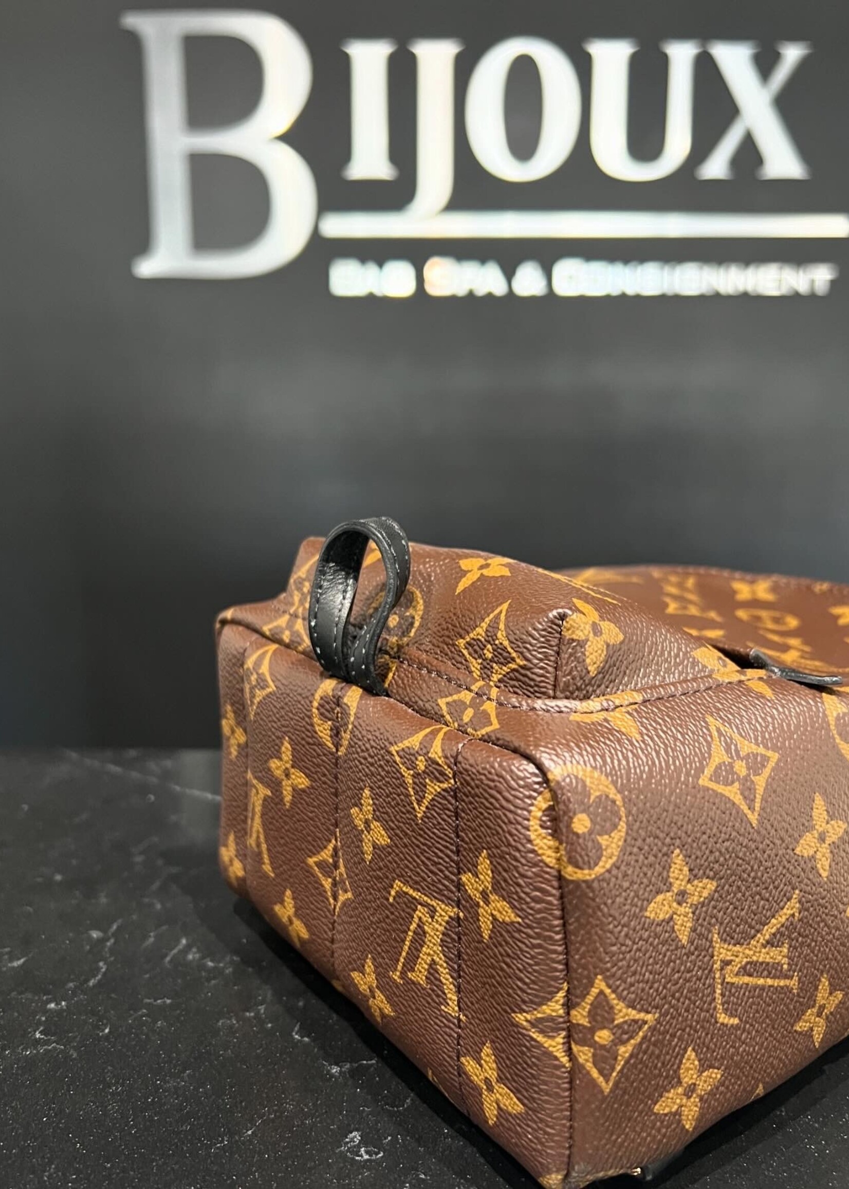 Louis Vuitton Louis Vuitton Mini Palm Springs