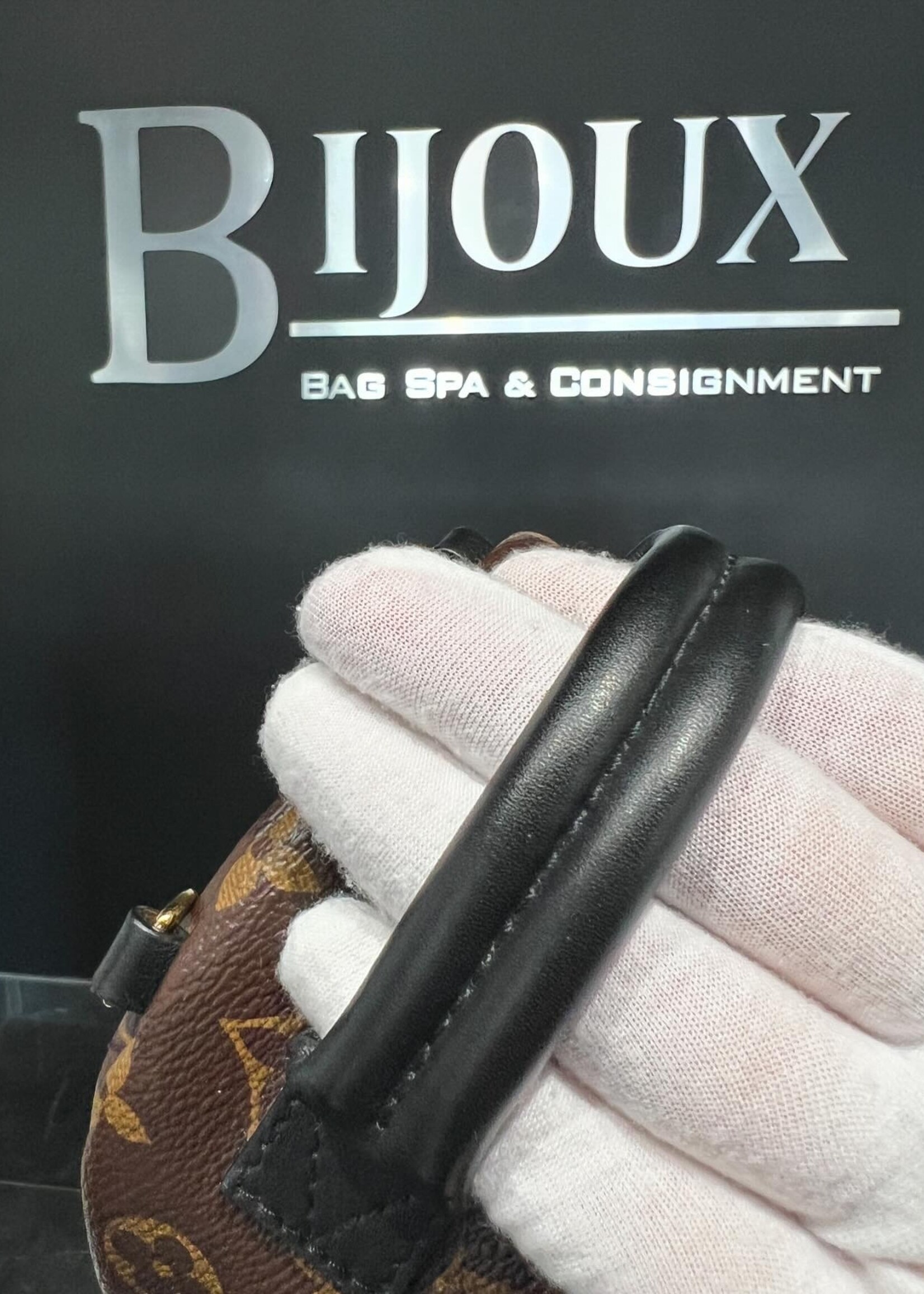 Louis Vuitton Louis Vuitton Mini Palm Springs