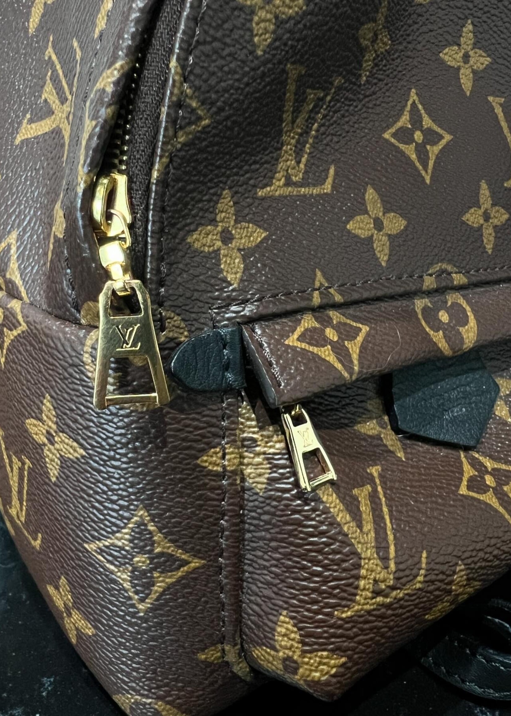 Louis Vuitton Louis Vuitton Mini Palm Springs