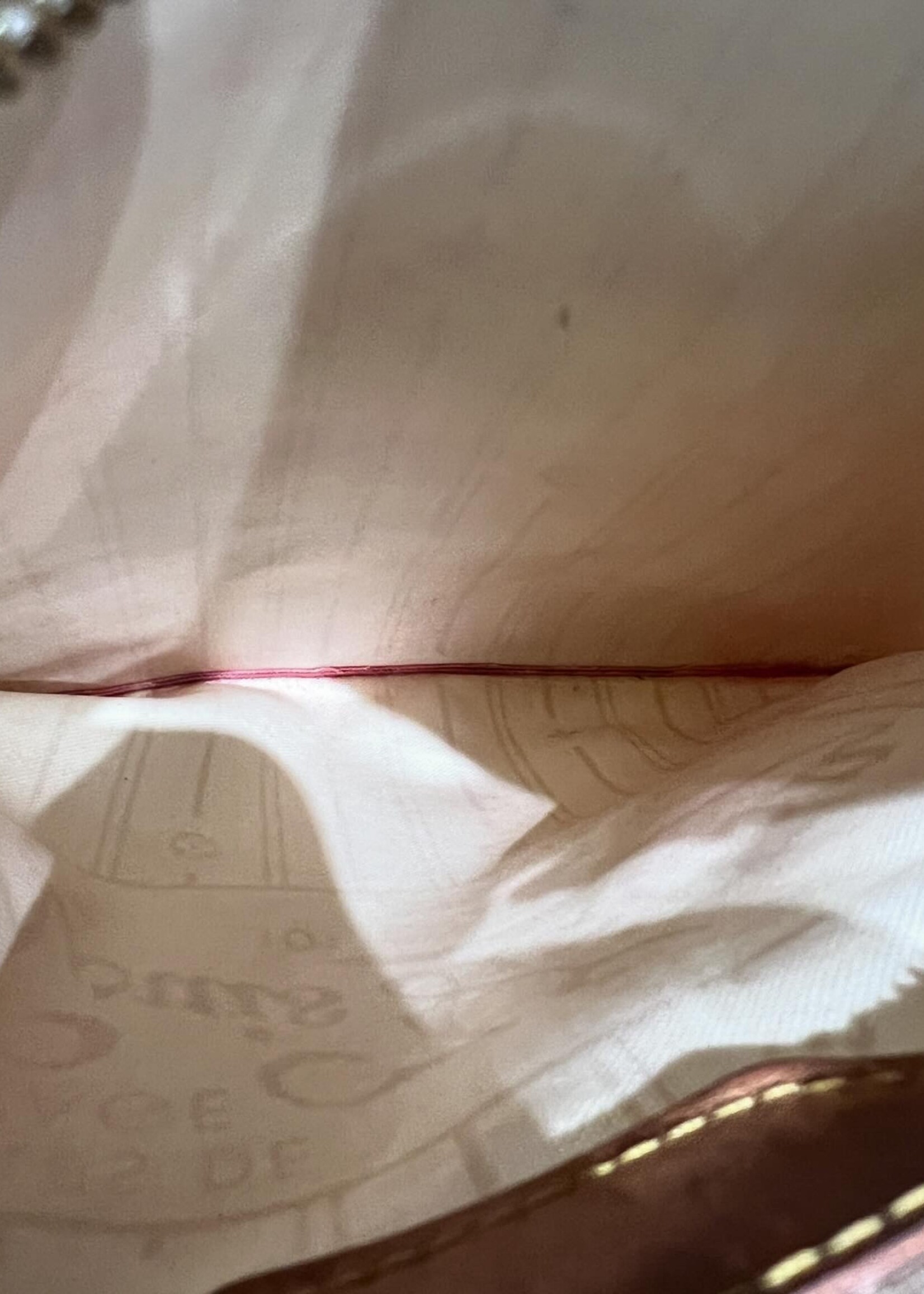 Louis Vuitton SOLD- Louis Vuitton Neverfull GM Damier Azur