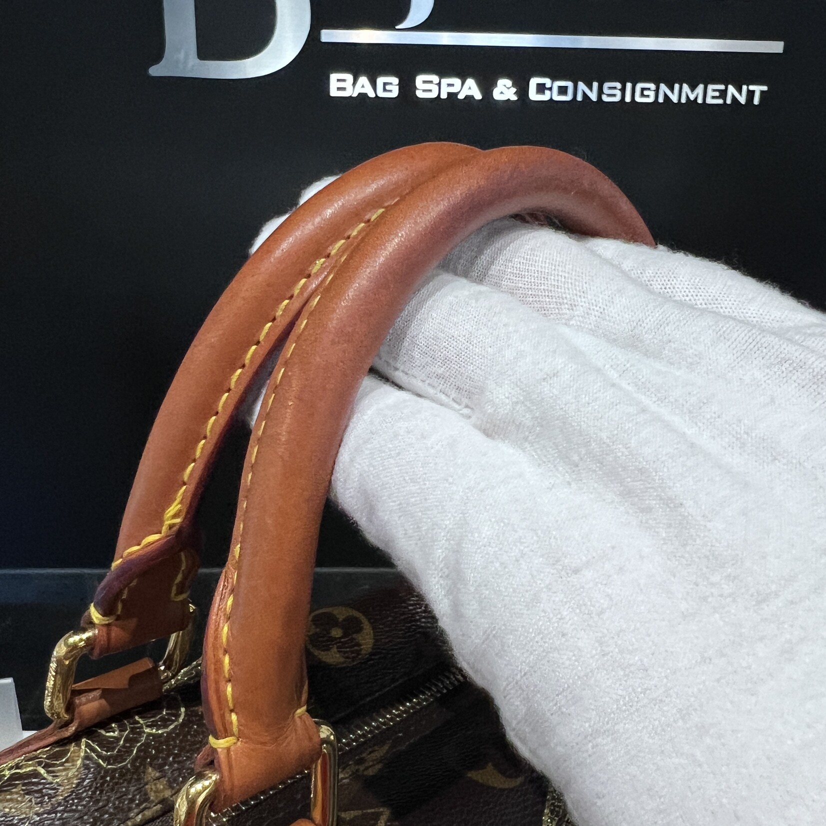 Louis Vuitton SOLD- Louis Vuitton Speedy Danielle
