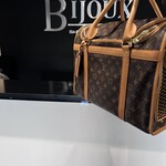 Louis Vuitton SOLD - Louis Vuitton Sac Chein 40