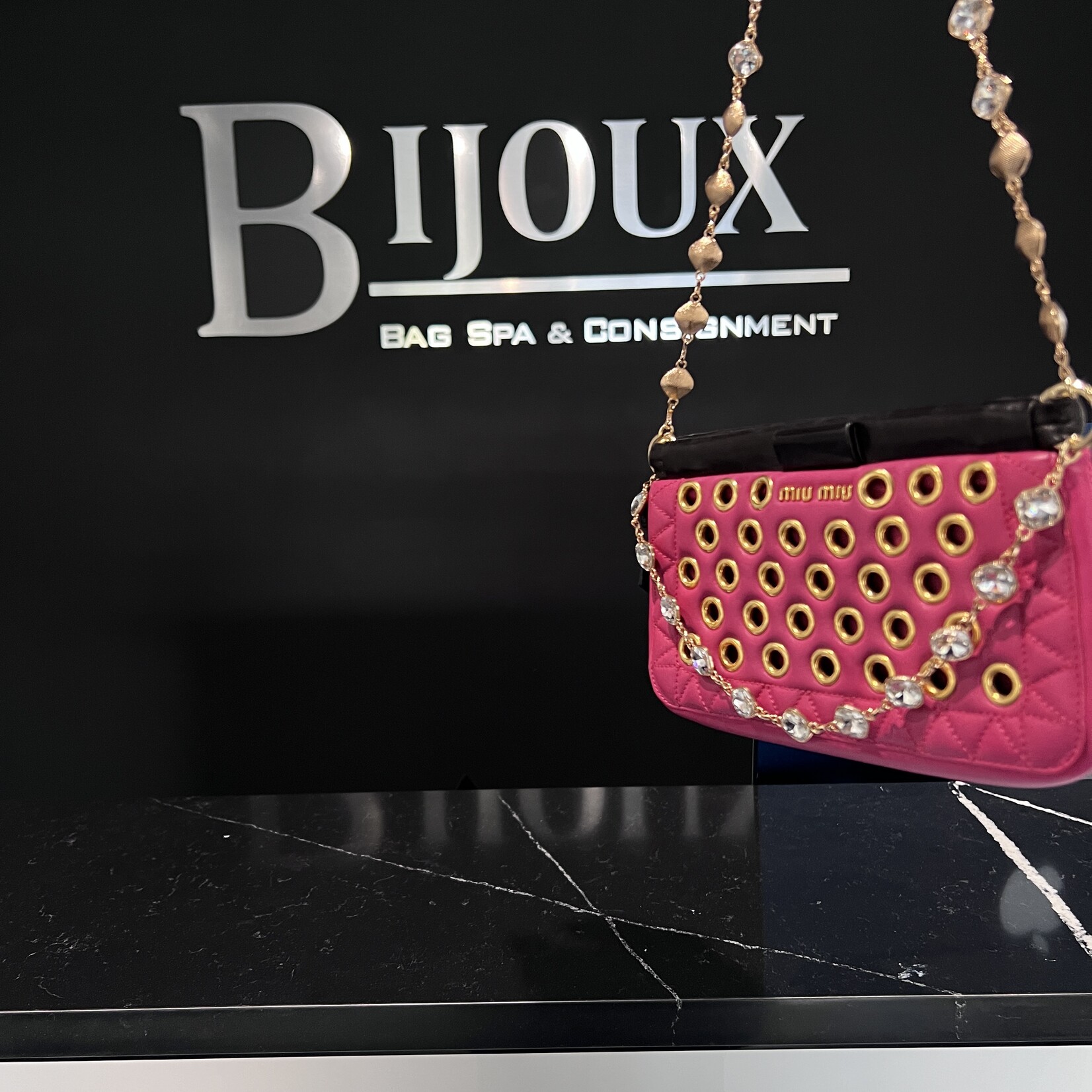 Miu MIu Miu Miu Eyelet Clutch