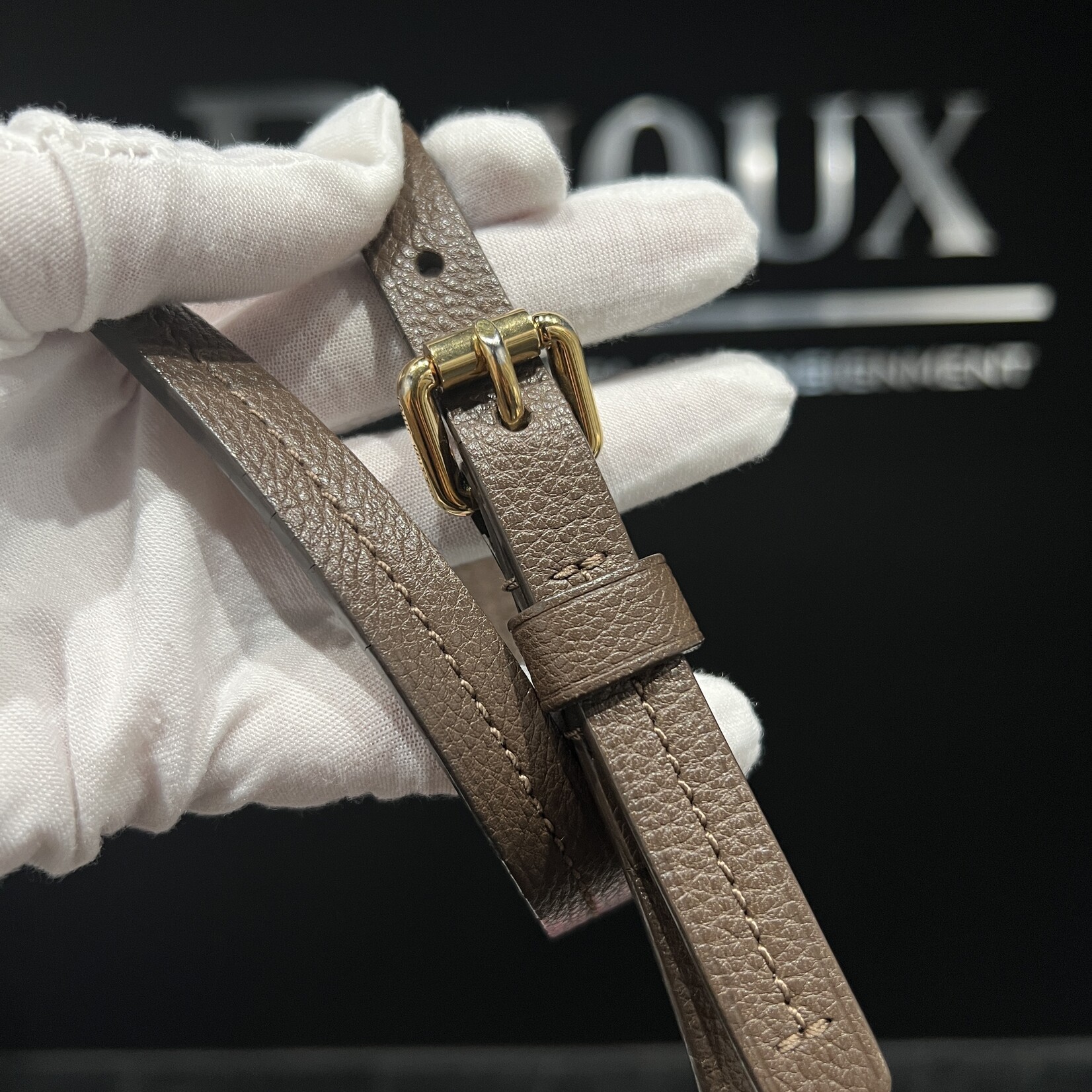 Louis Vuitton SOLD- Louis Vuitton Empreinte Lumineuse GM