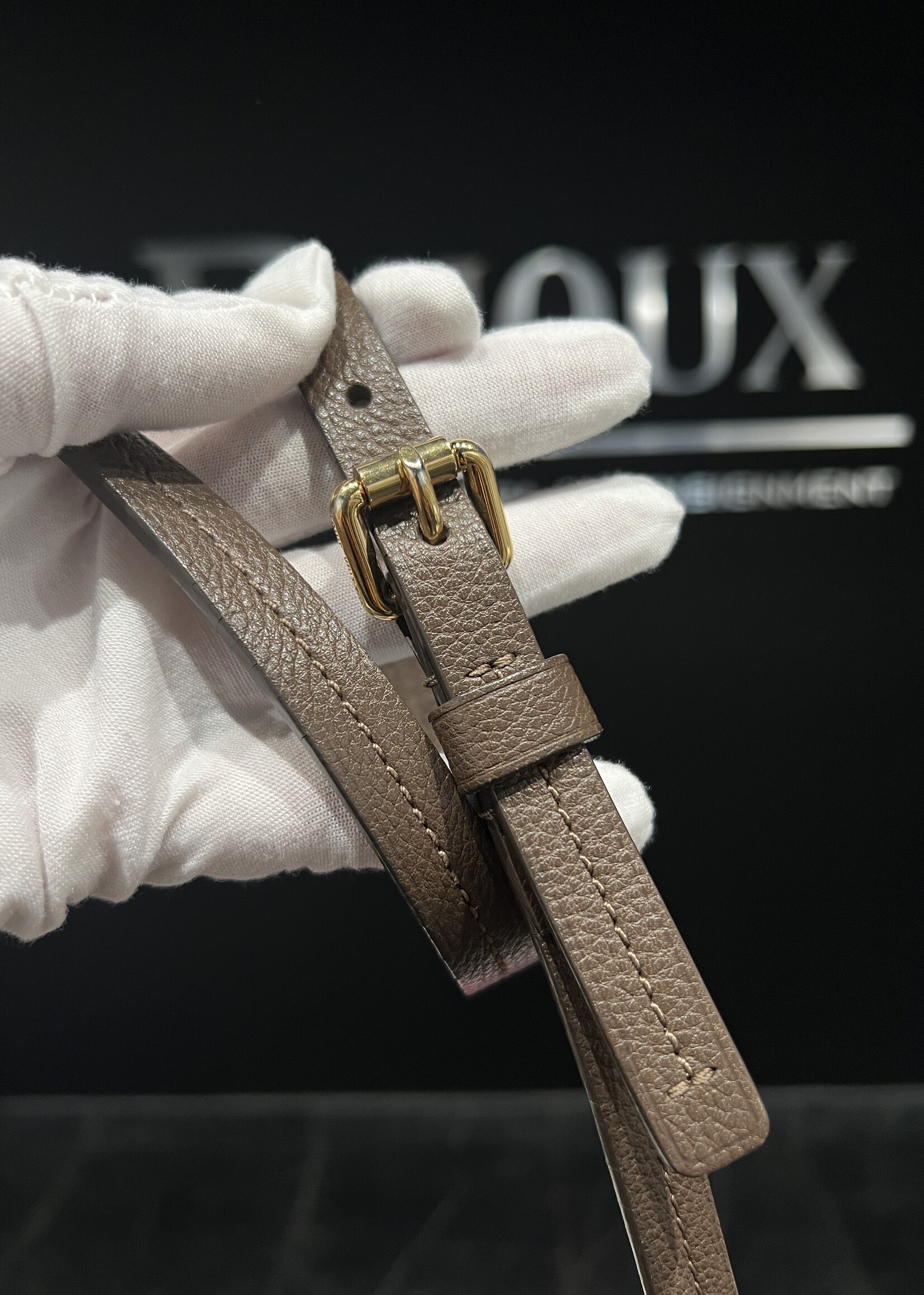 Louis Vuitton SOLD- Louis Vuitton Empreinte Lumineuse GM